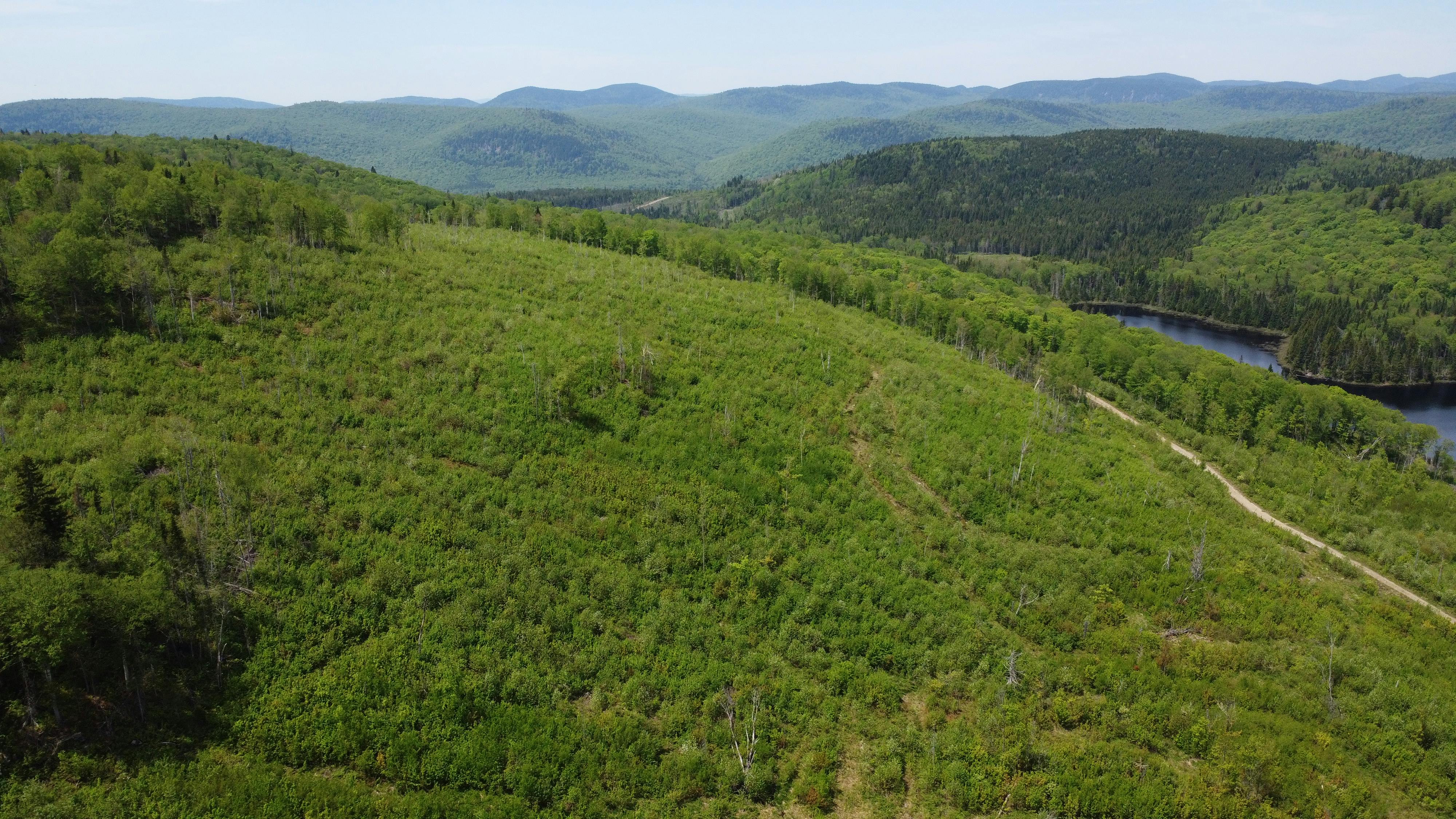 _DJI_0523.JPG