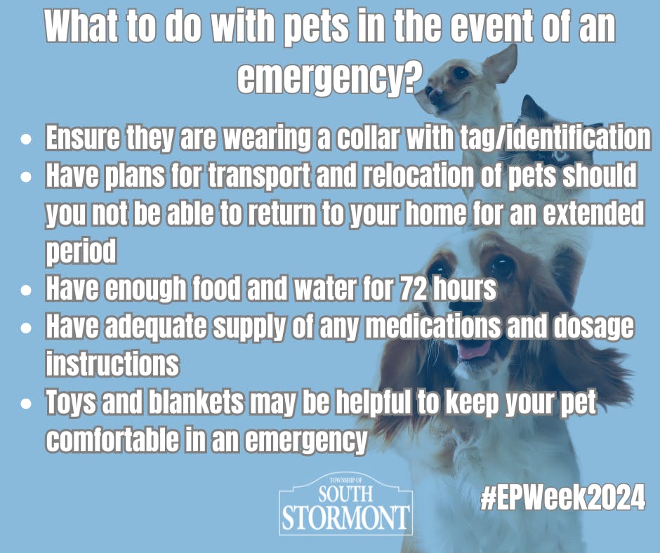 EPWeek - Pets Facebook.png