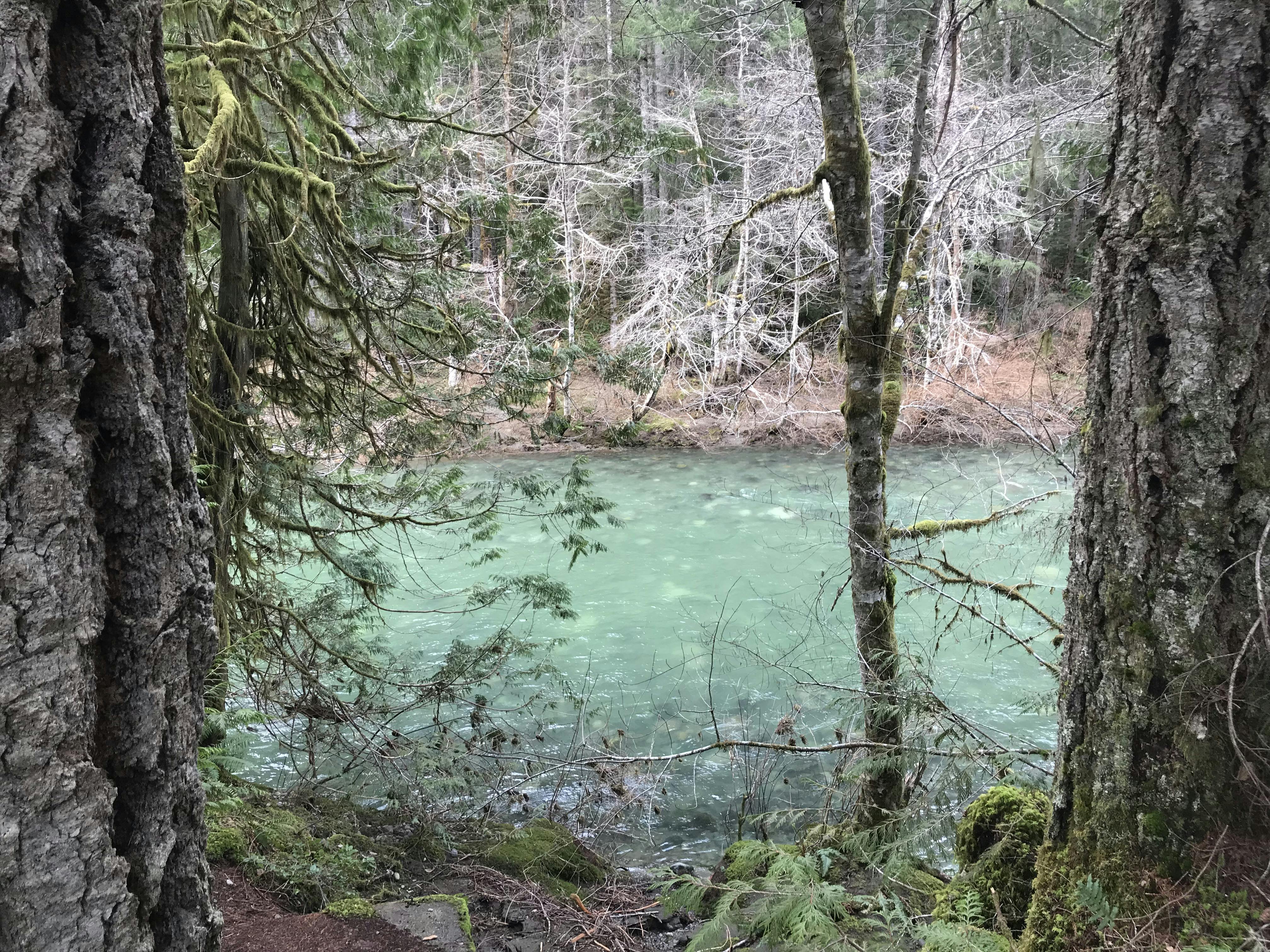 Chemainus River Regional Park