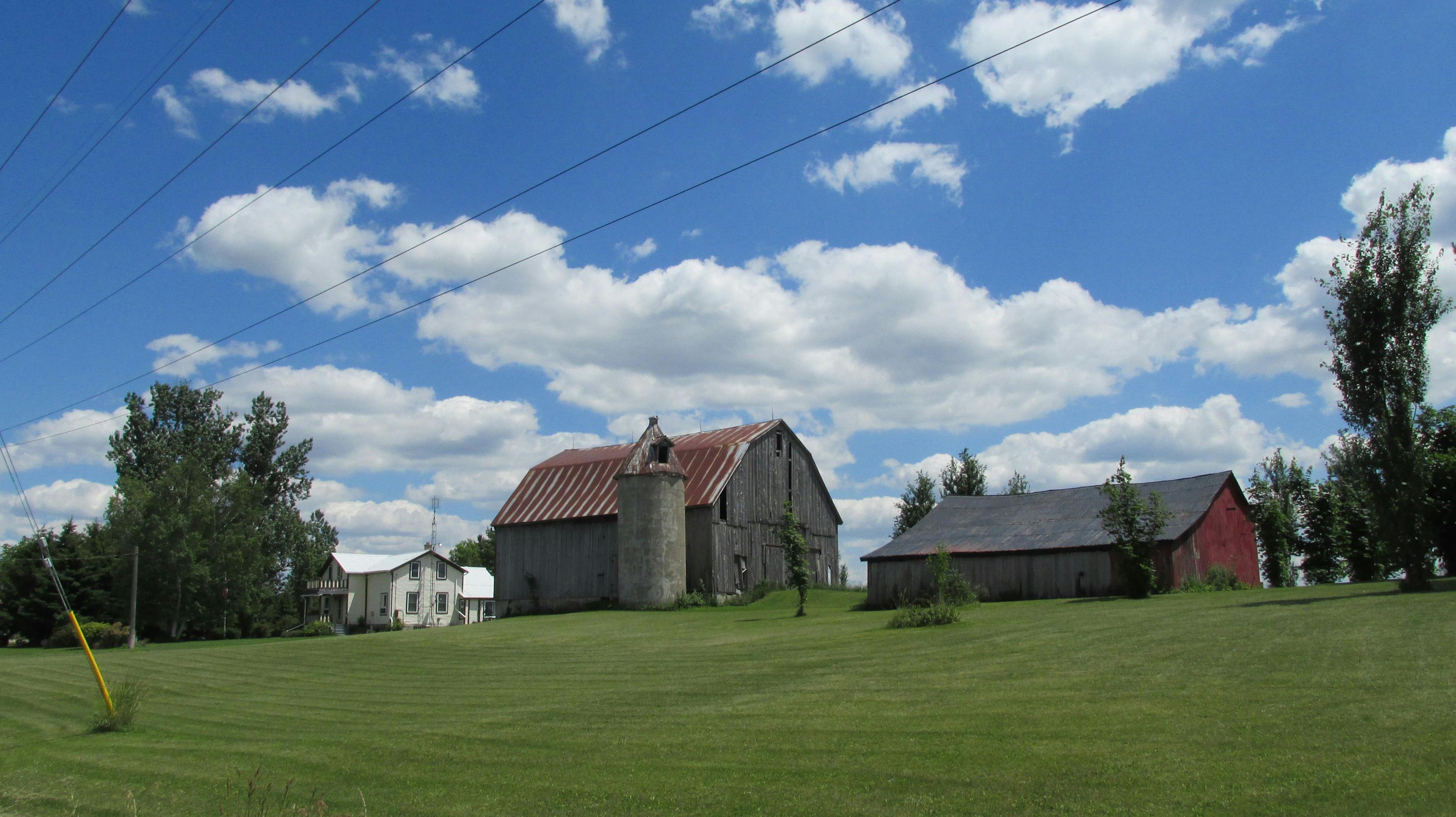 Farm on Erb's Road