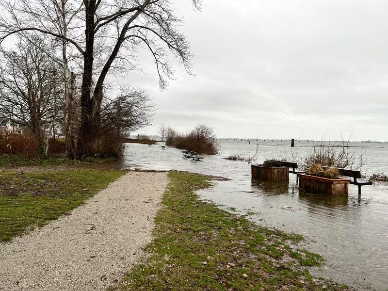 December 2022 King Tide Event - Park Area Flooding