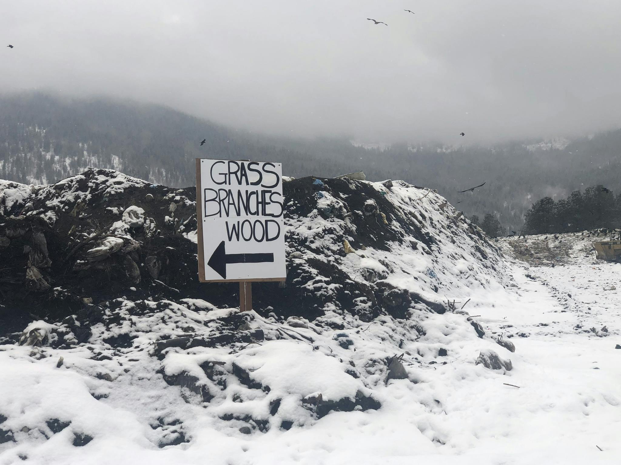 Drop off your grass, branches and wood (March)