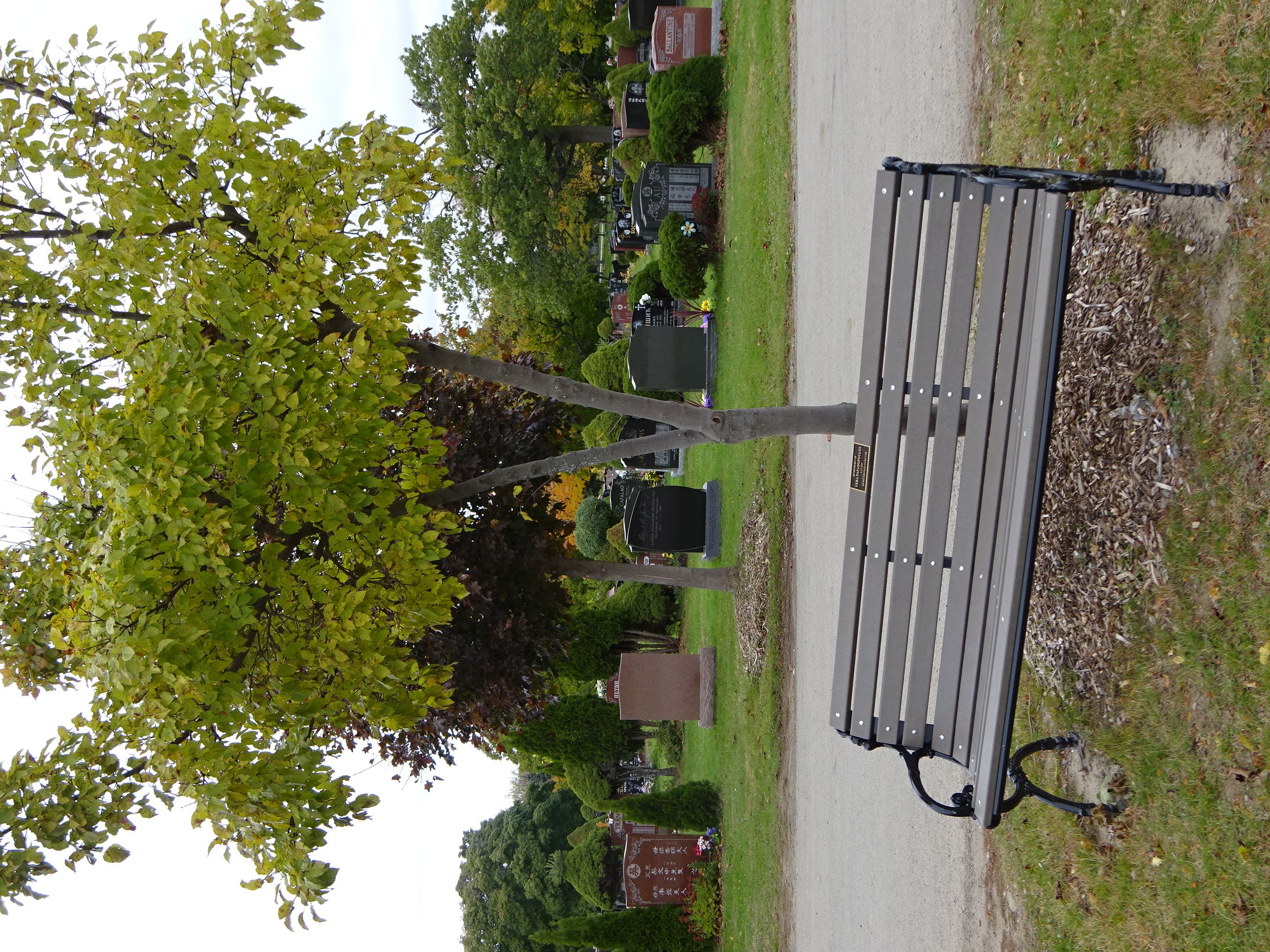 a memorial bench or memorial tree, with remains scattered or buried elsewhere