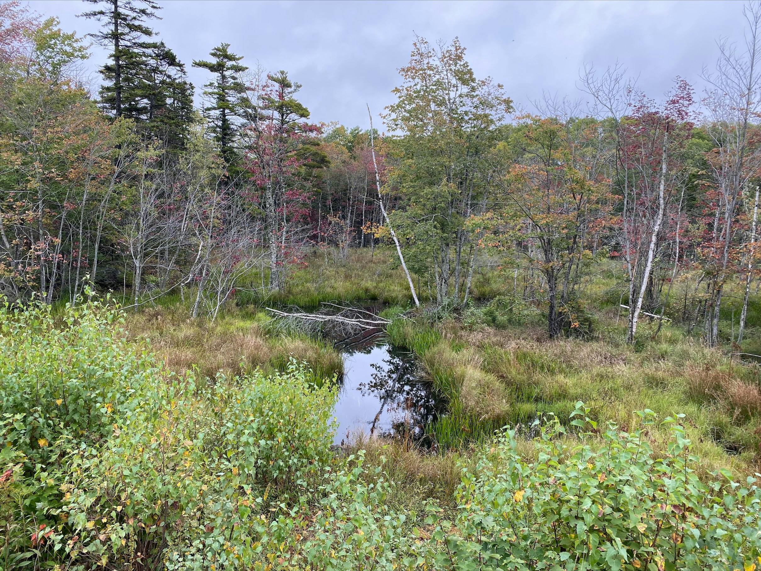 PL210004 Photo 07.png