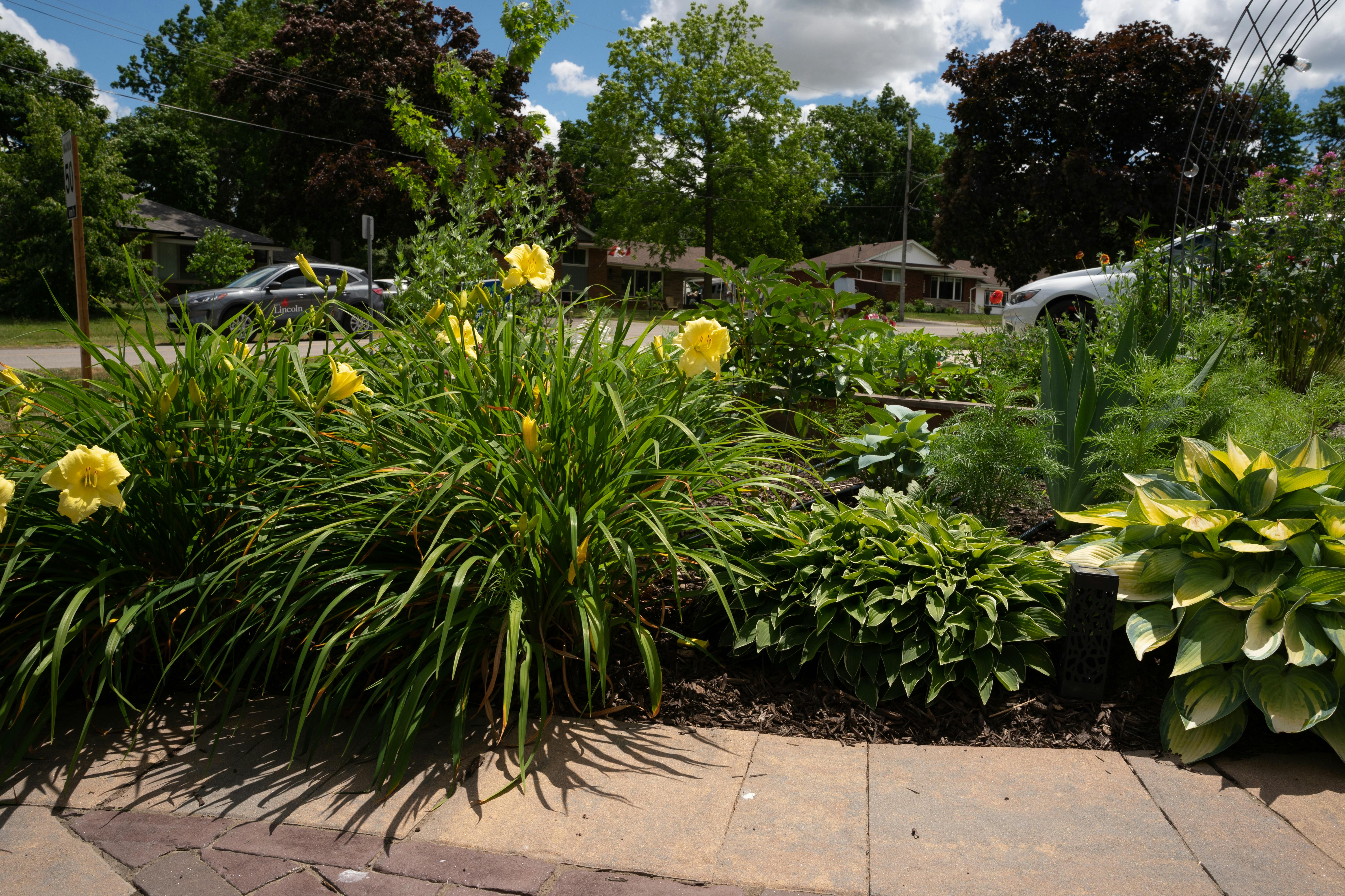  Lincoln in Bloom Garden Contest 2022 | Participant Photo 15