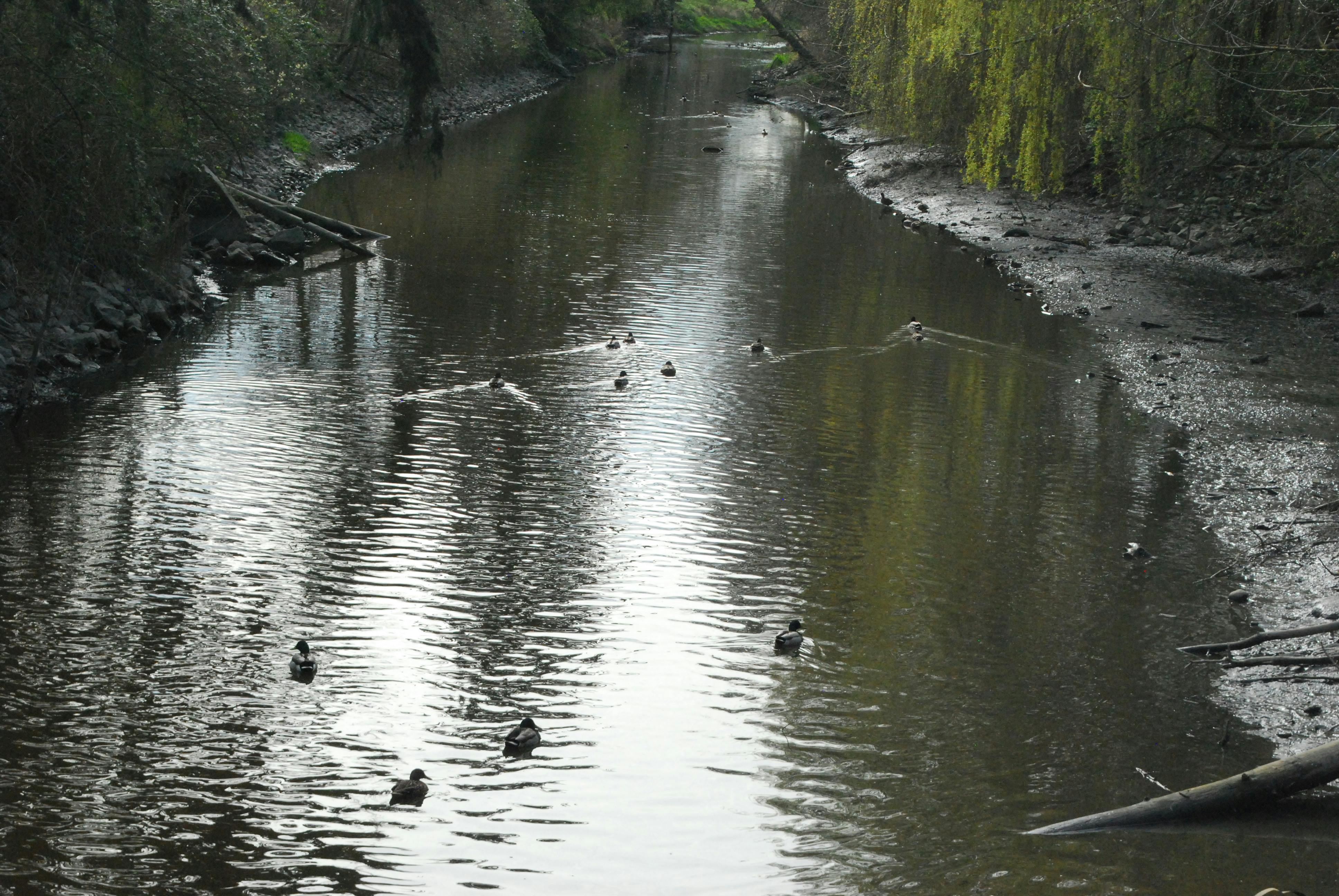 Trevor Wilson - Youth