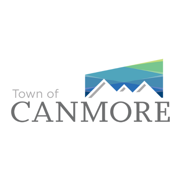 options-survey-mycanmore