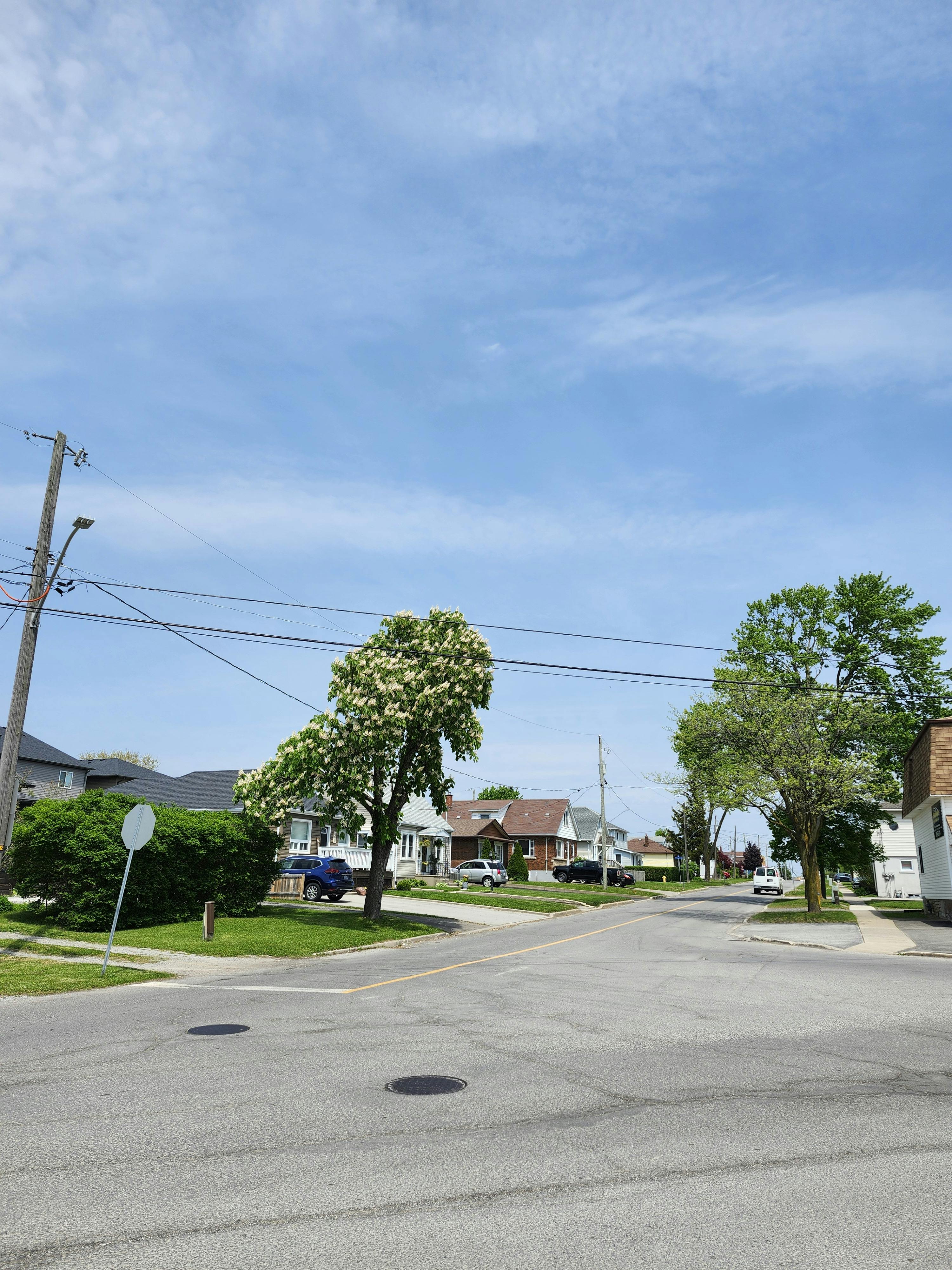 Current Site Photo 5