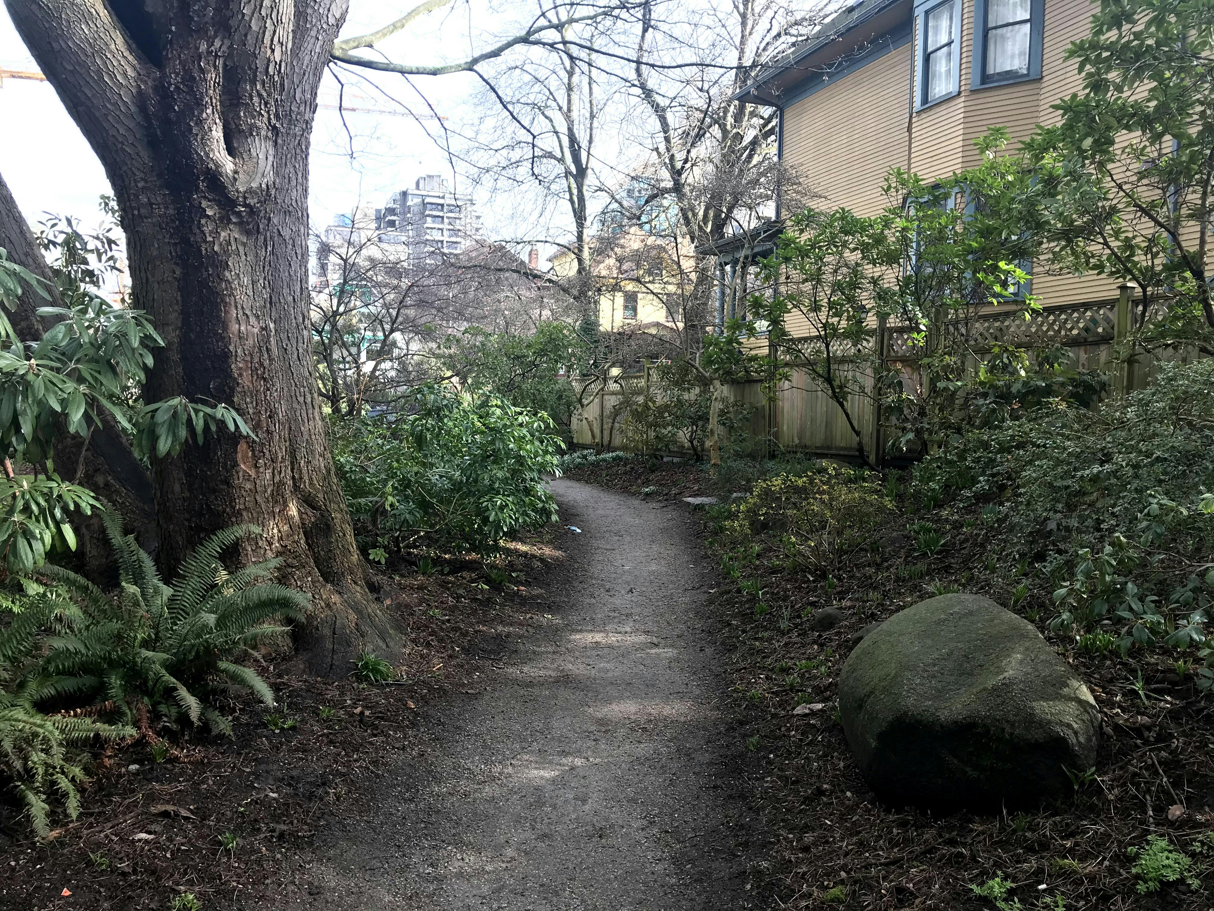 Existing accessible pathway (looking north)