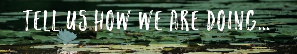 how are we doing banner with greenery and lake 