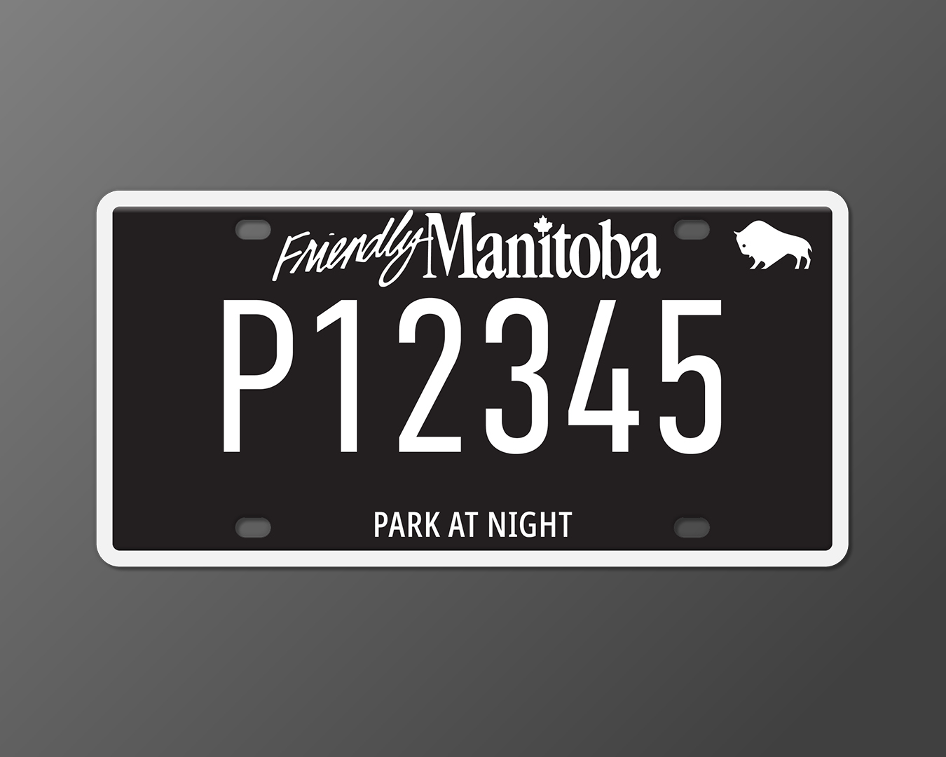 Option 5: Pure black with the words “PARK AT NIGHT” at the bottom