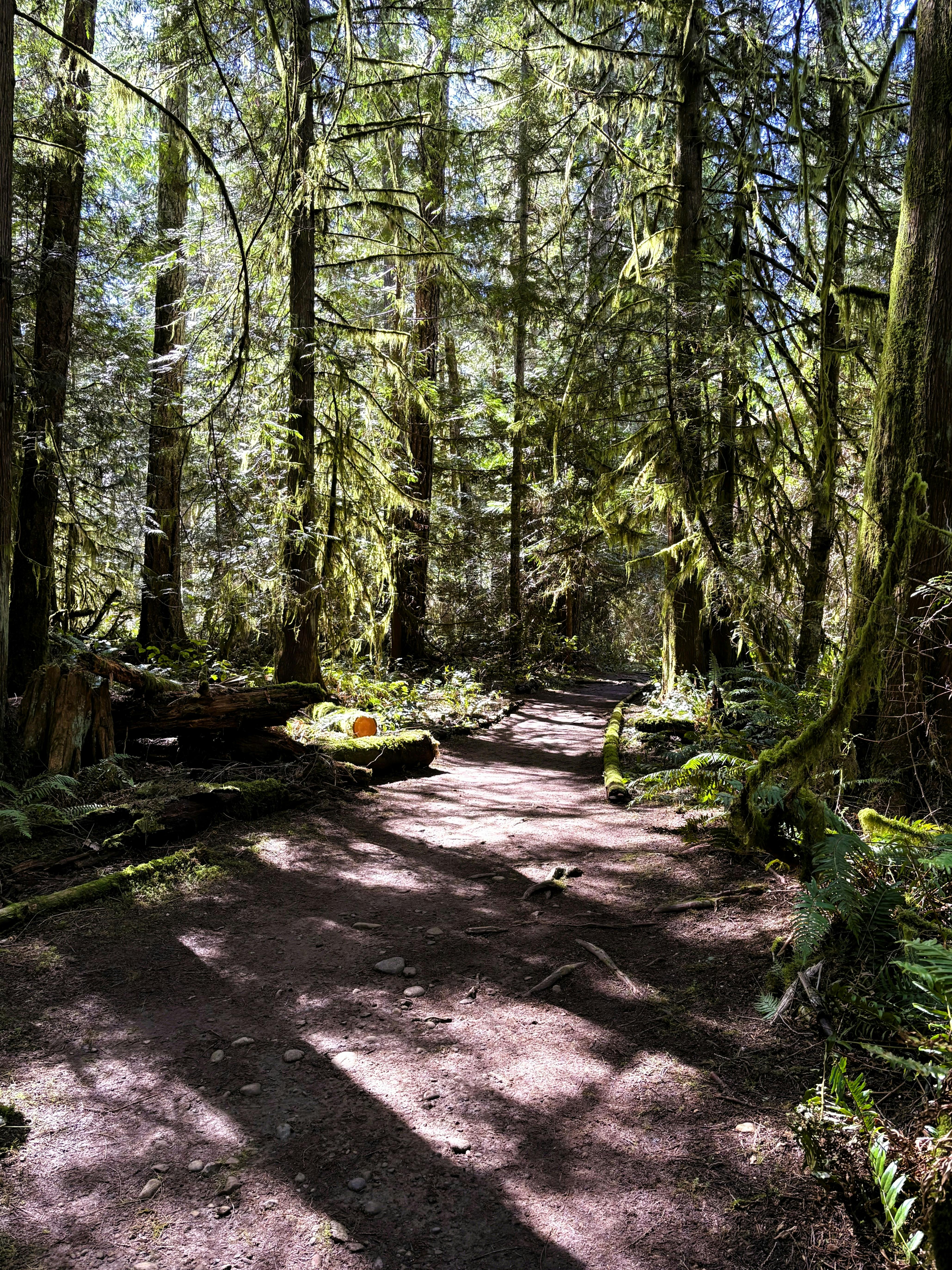 Hamilton Marsh Regional Park and Conservation Area
