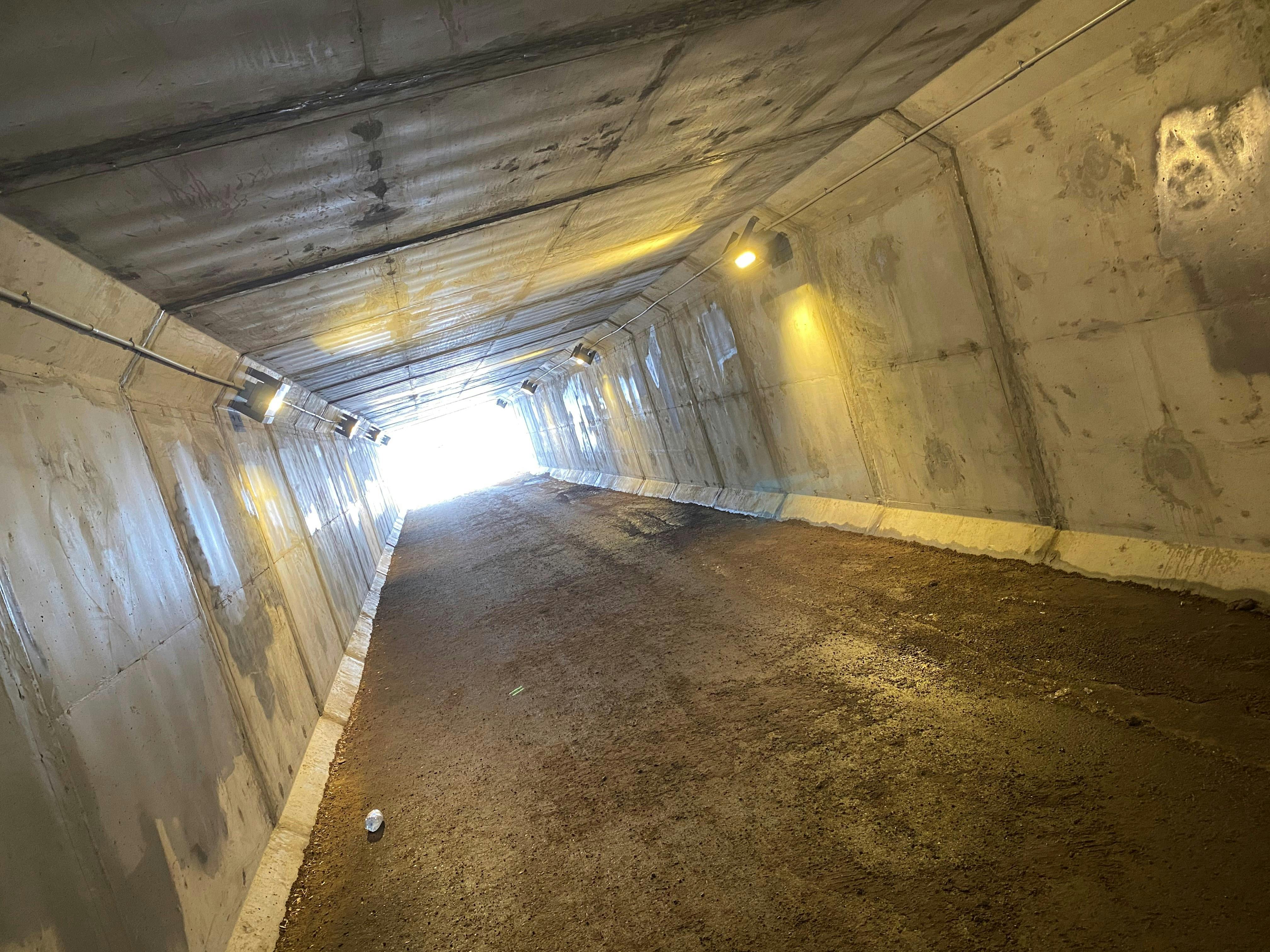Tunnel Before 2.jpg