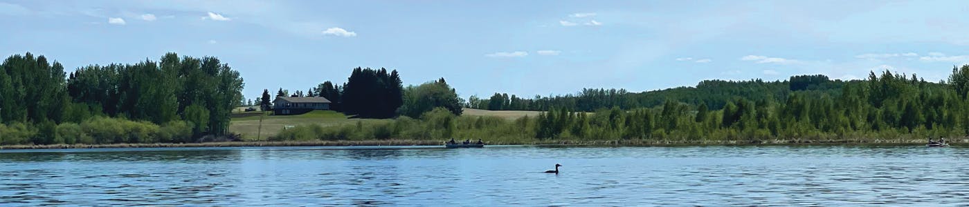 Photo of Hasse Lake with a loon and canoe on the lake, and green trees, hill and house in the distance.