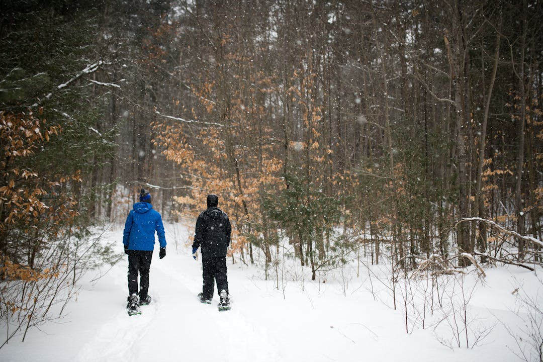 two people from behind snowshoeing