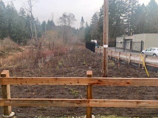 Site Restoration
