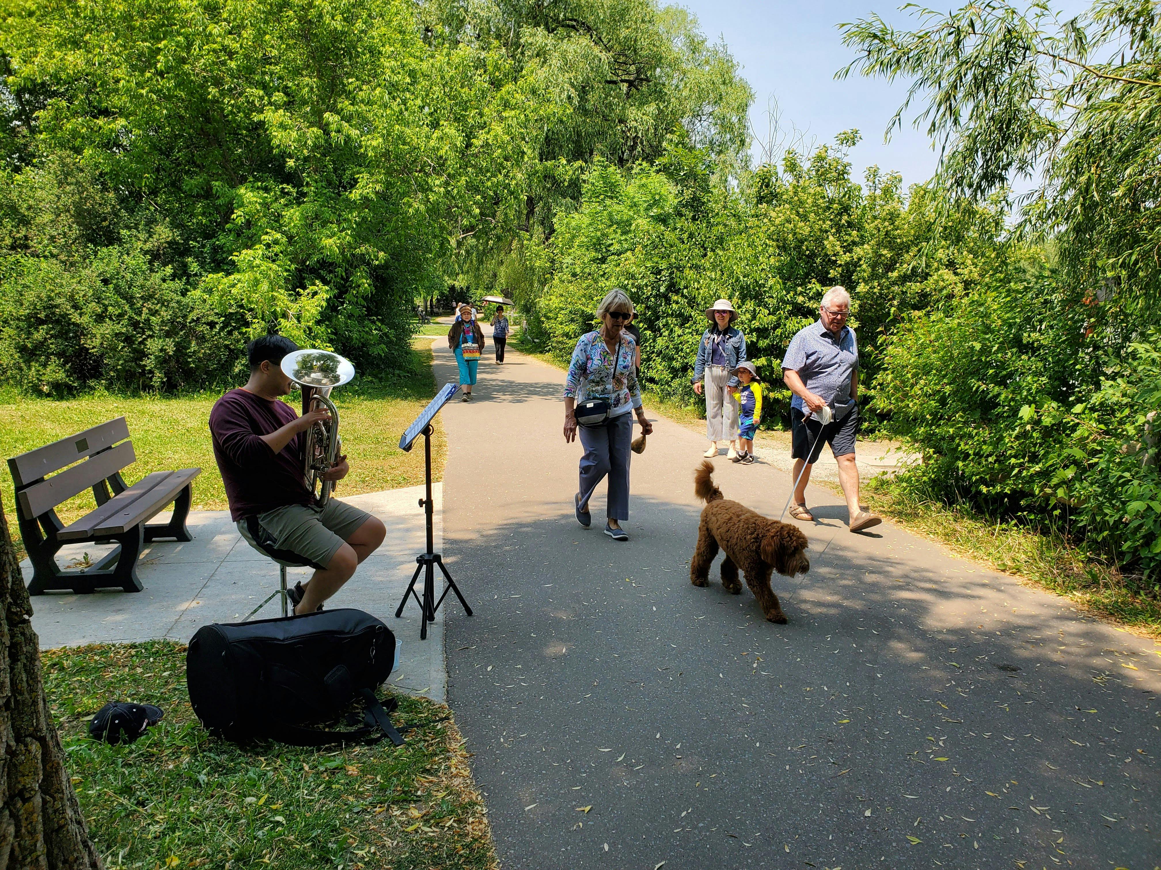 Local musician playing the euphonium on the Rouge River Trail in the summer of 2023 as part of Lost and Found. Photo by Alessandra Pozzuoli.