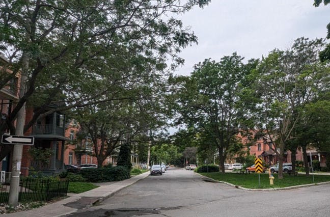 Parc entouré d'arbres du quartier du Triangle d’or.