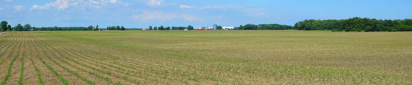 A farm field on a clear summery day.