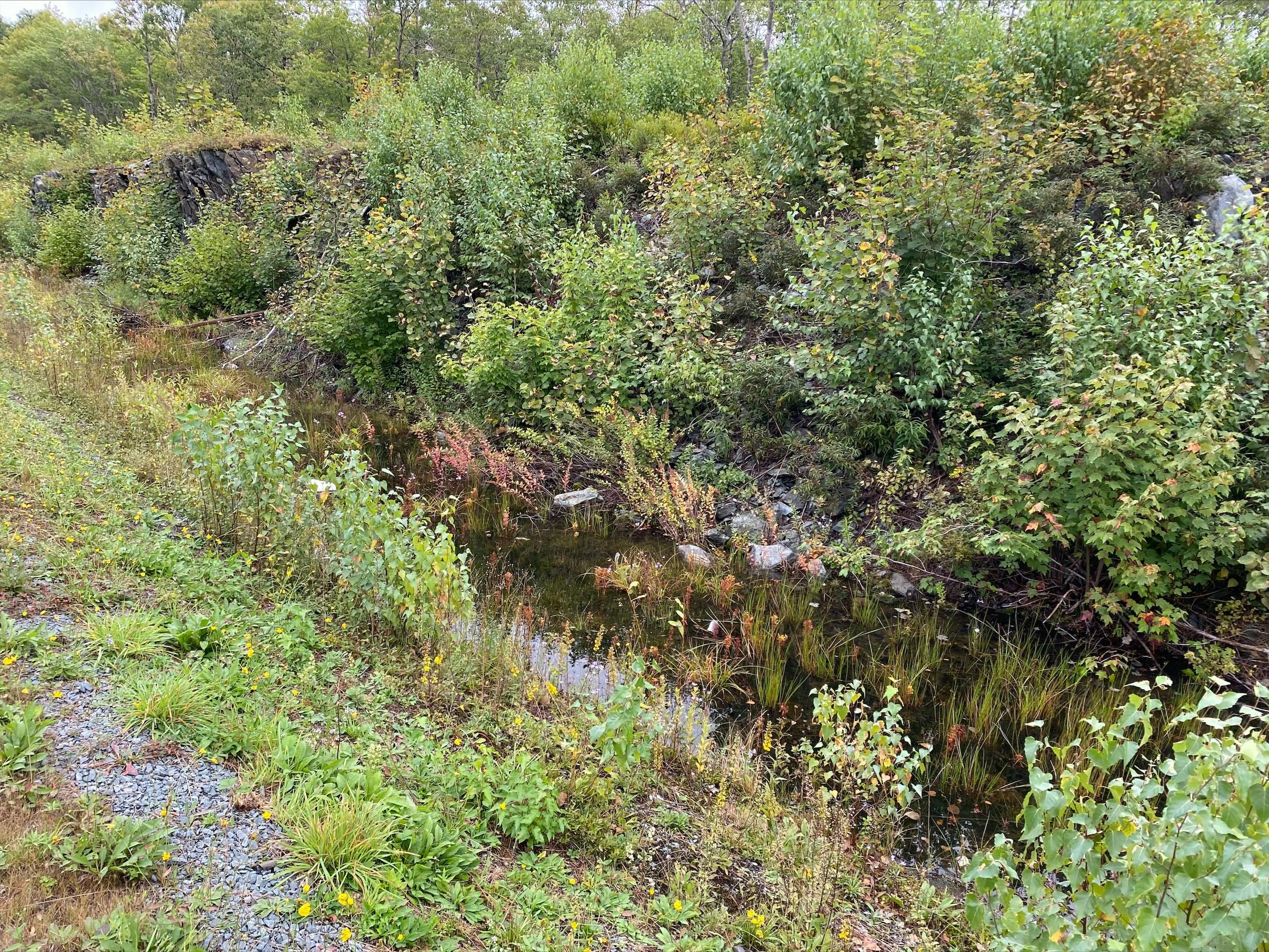 PL210004 Photo 12.png