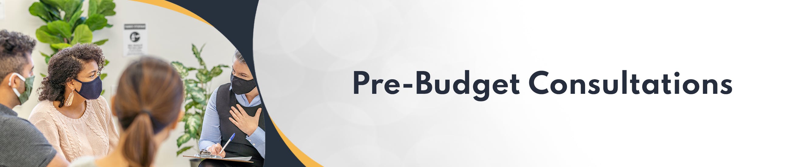 Pre budget consultations banner