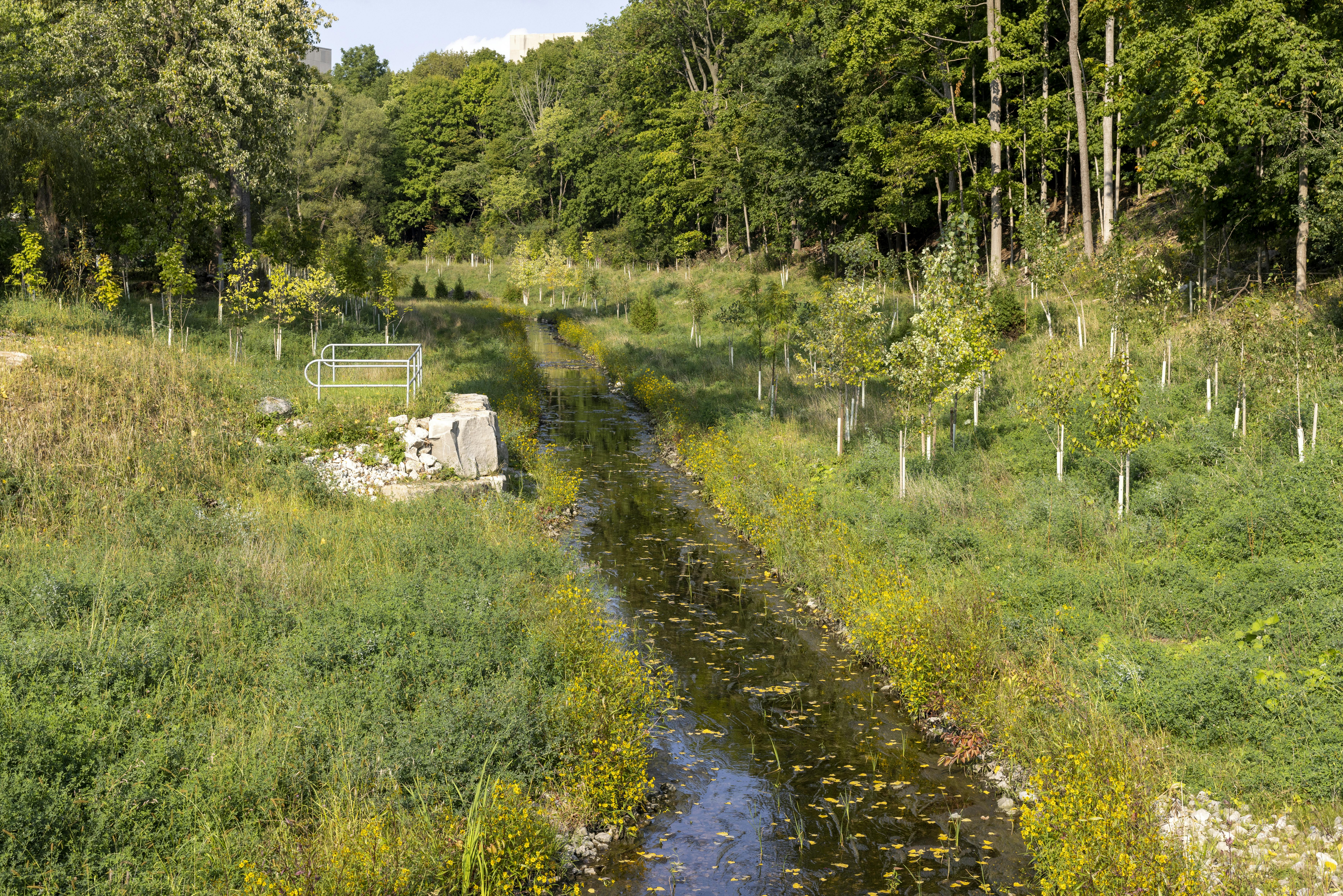 This photo shows Mud Creek after improvements were made as part of Phase 1 of the project.