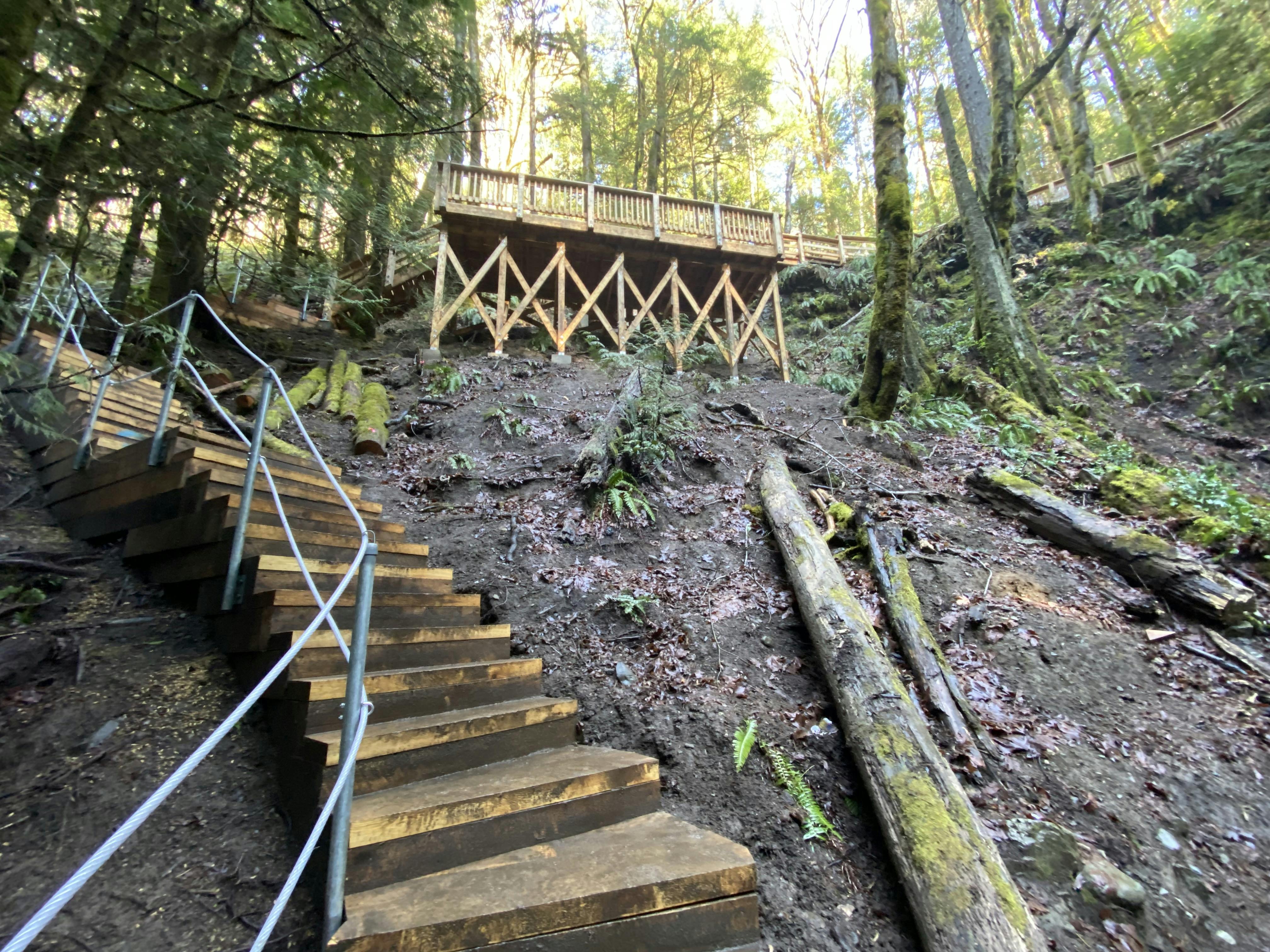 Benson Creek Falls Regional Park from below Viewing Platform