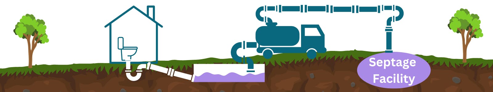 Diagram of sewage leaving a house and flowing into a septic tank then to a tanker truck and pumped into a septage facility.