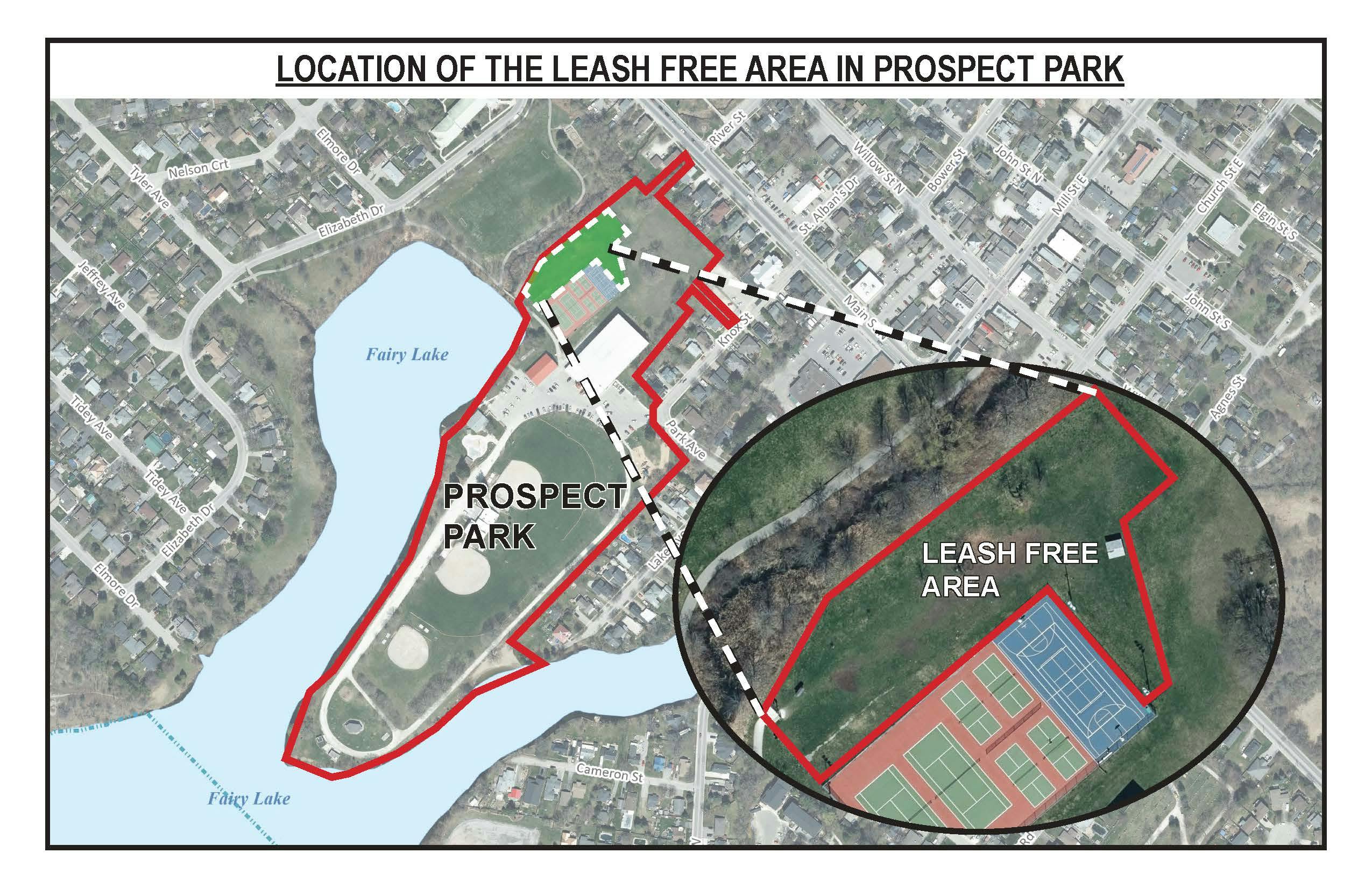 Leash Free Area withing Prospect Park