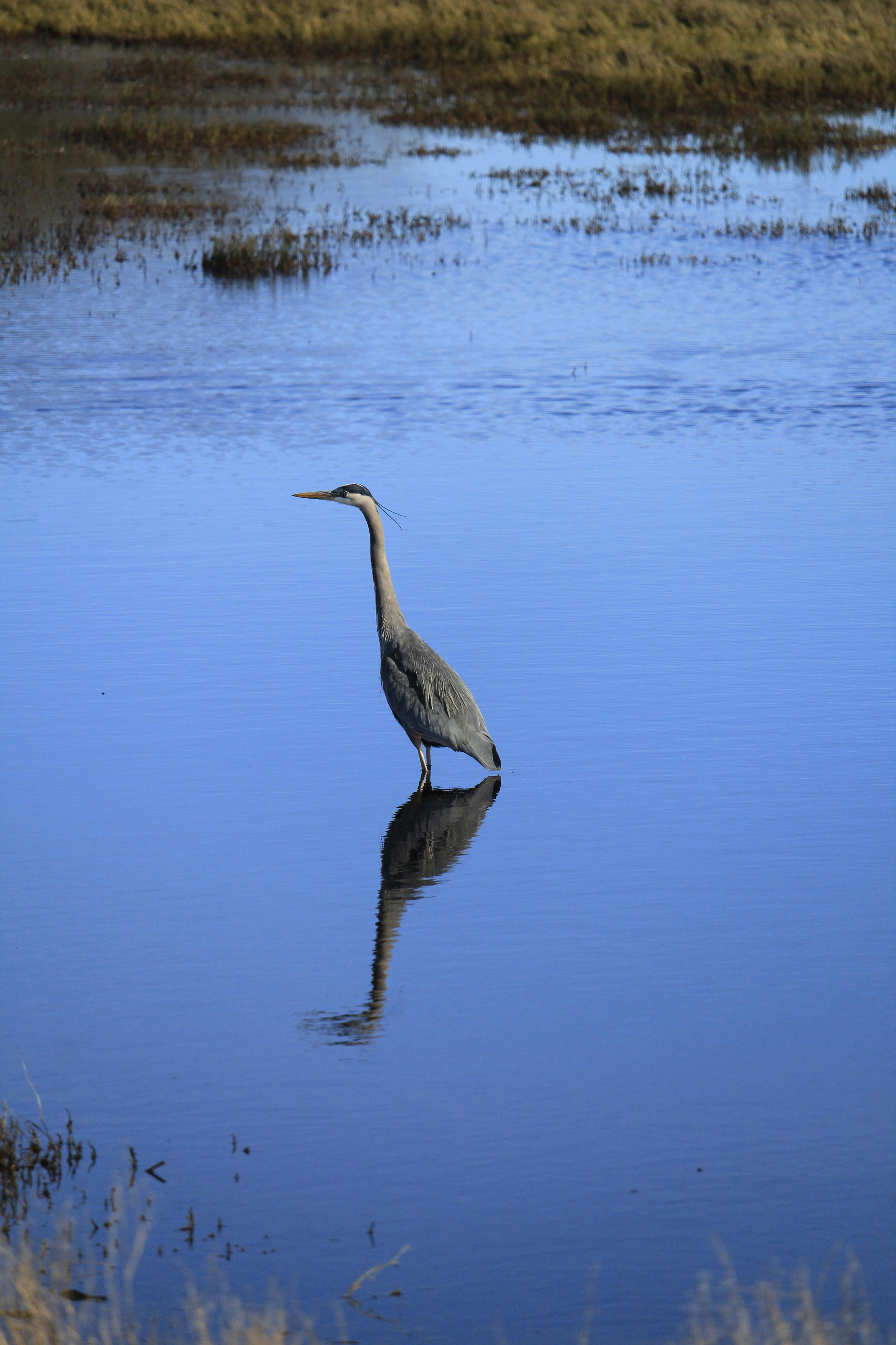 Ashley Manson - Adult