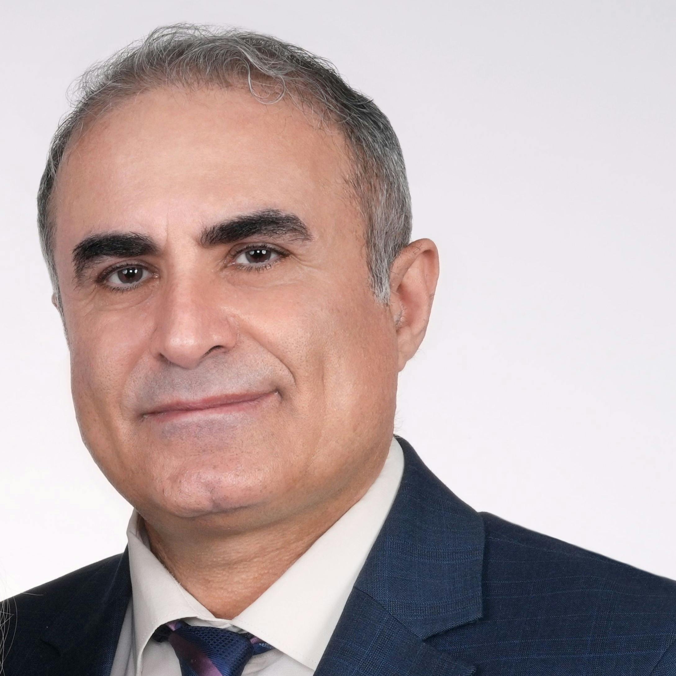 Team member, Pezhman Imani, P.Eng , PMP