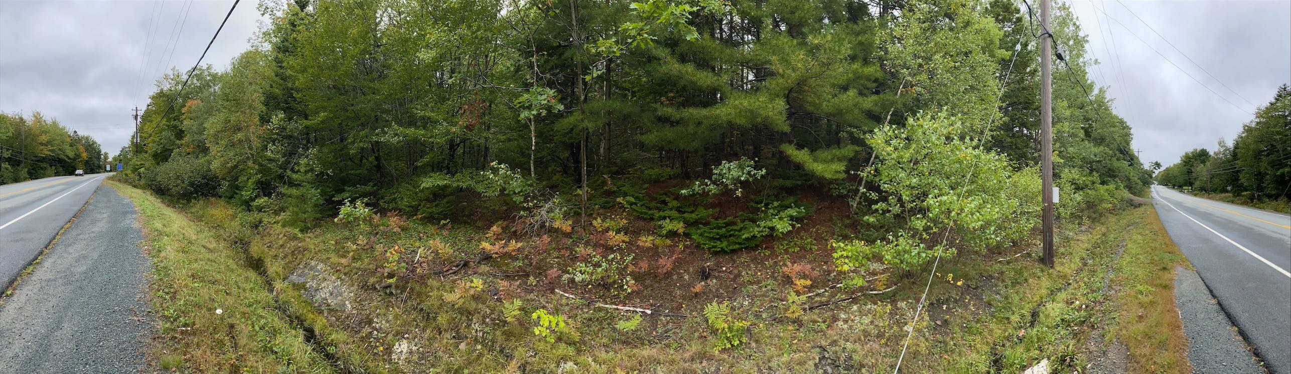 PL210004 Photo 01.png