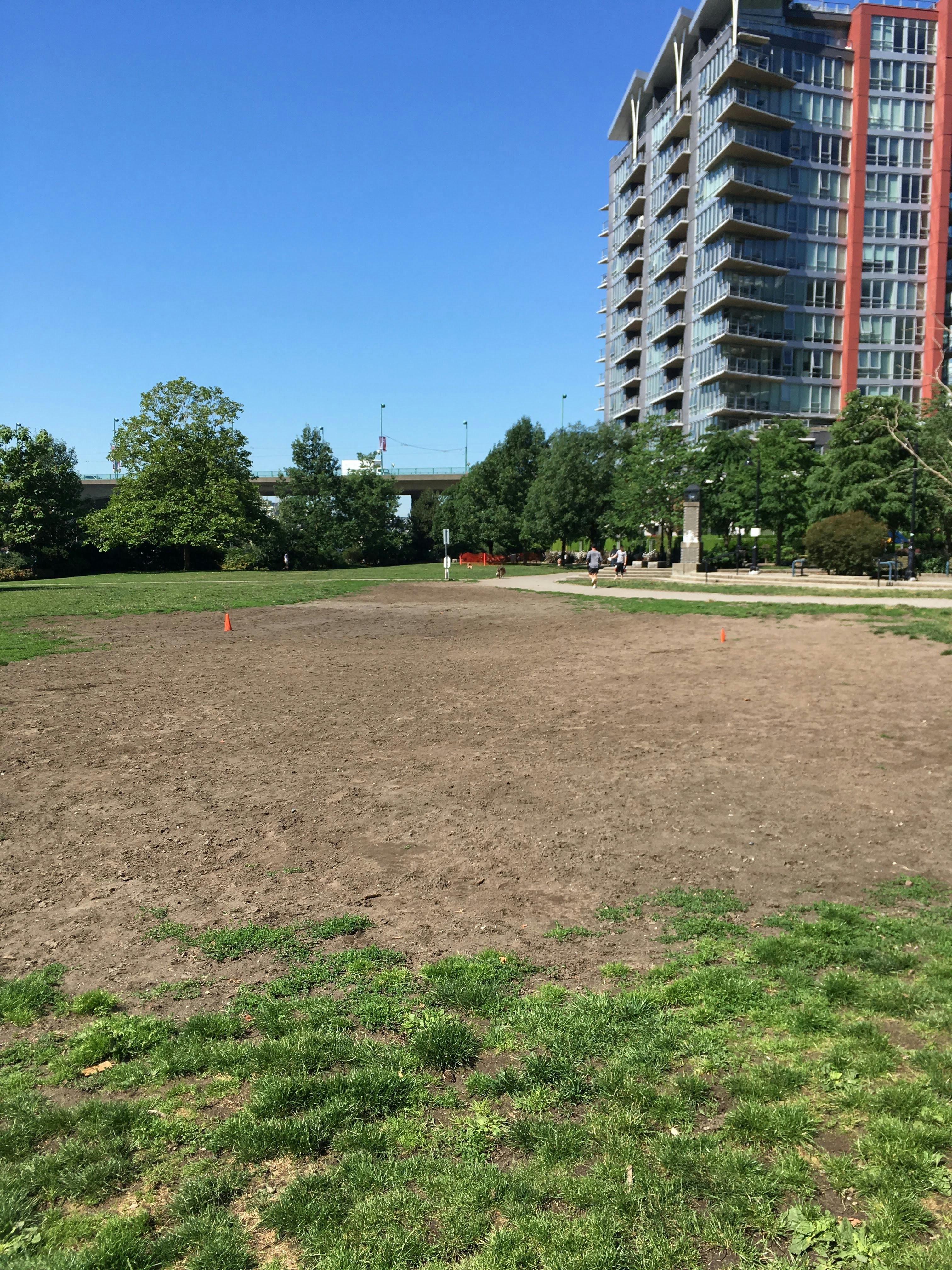Bare patch in grass from intense dog use