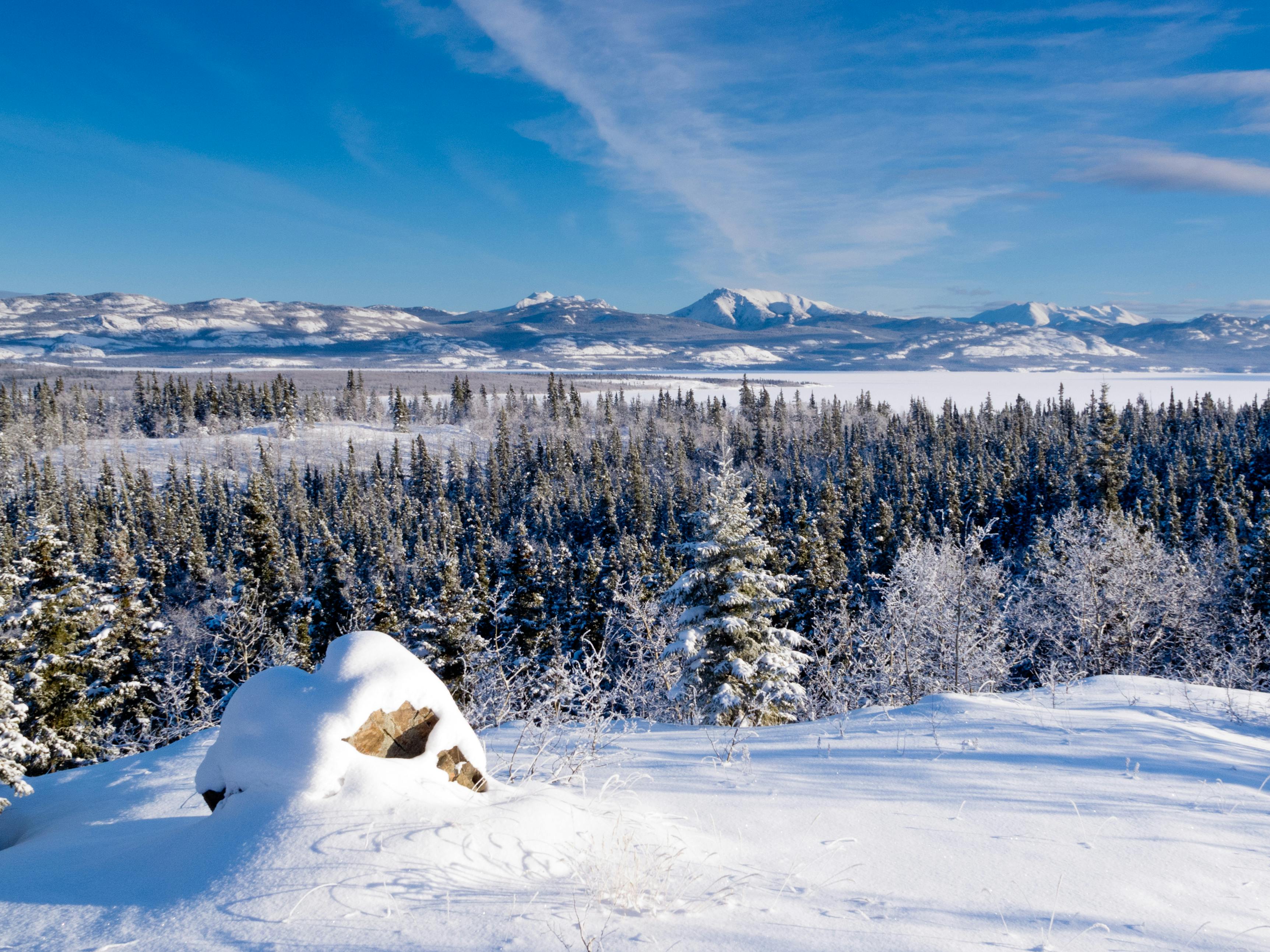 Ligne d'horizon d'une montagne enneigée par une journée ensoleillée