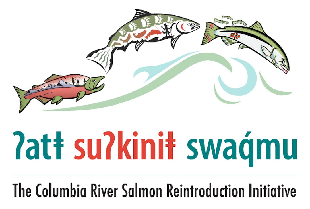 Bringing the Salmon Home: The Columbia River Salmon Reintroduction  Initiative