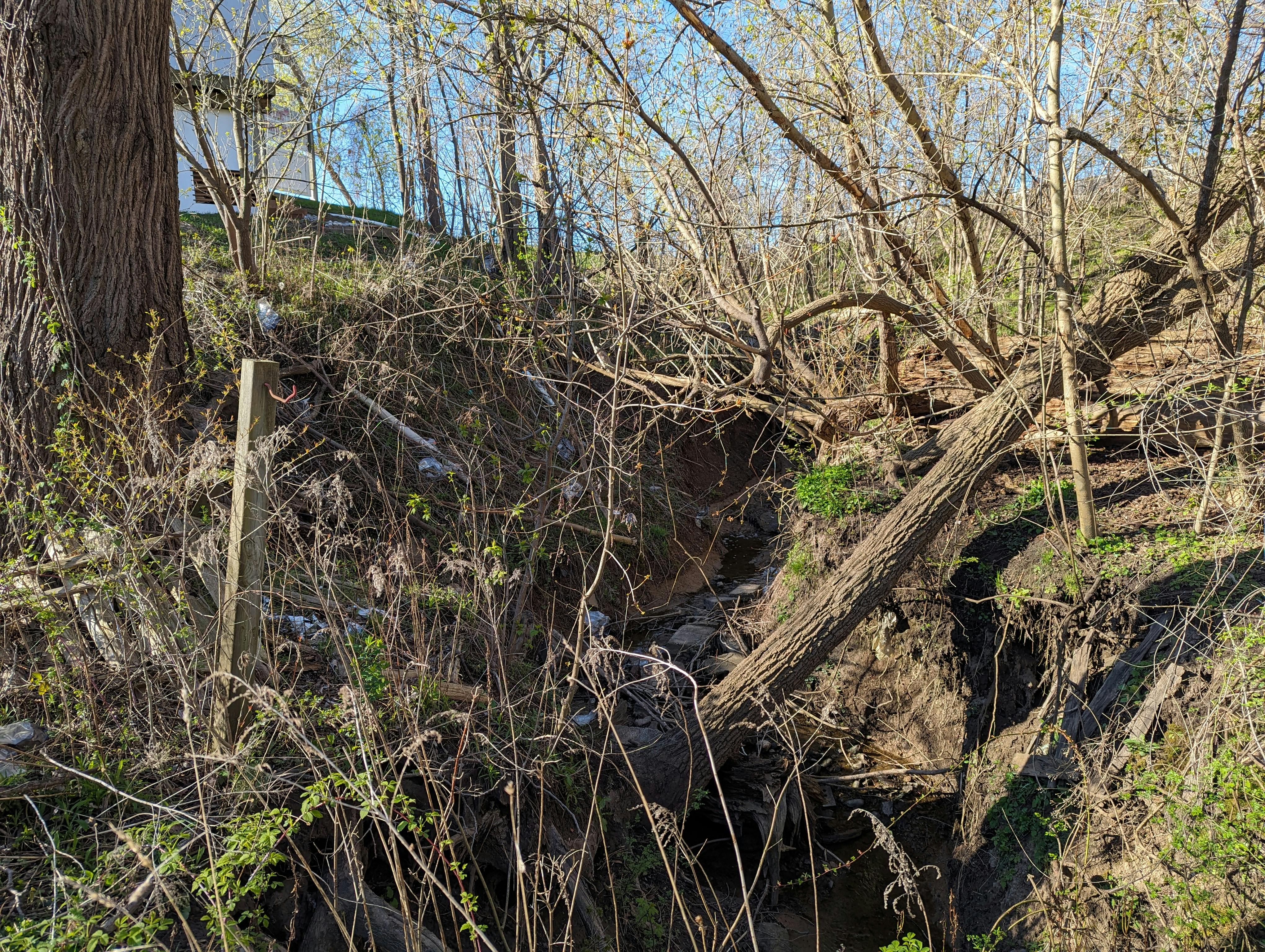 Erosion issues- 12 Mile Creek