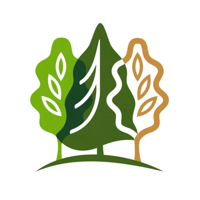Team member, Little Forests Kingston