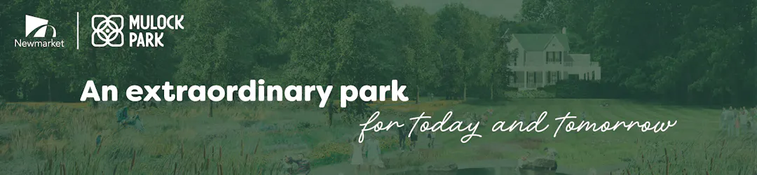 An artistic rendering of the future Mulock Park with text stating it's an extraordinary park for today and tomorrow