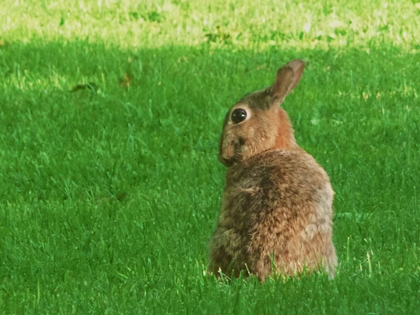 Oliver Perry - Youth