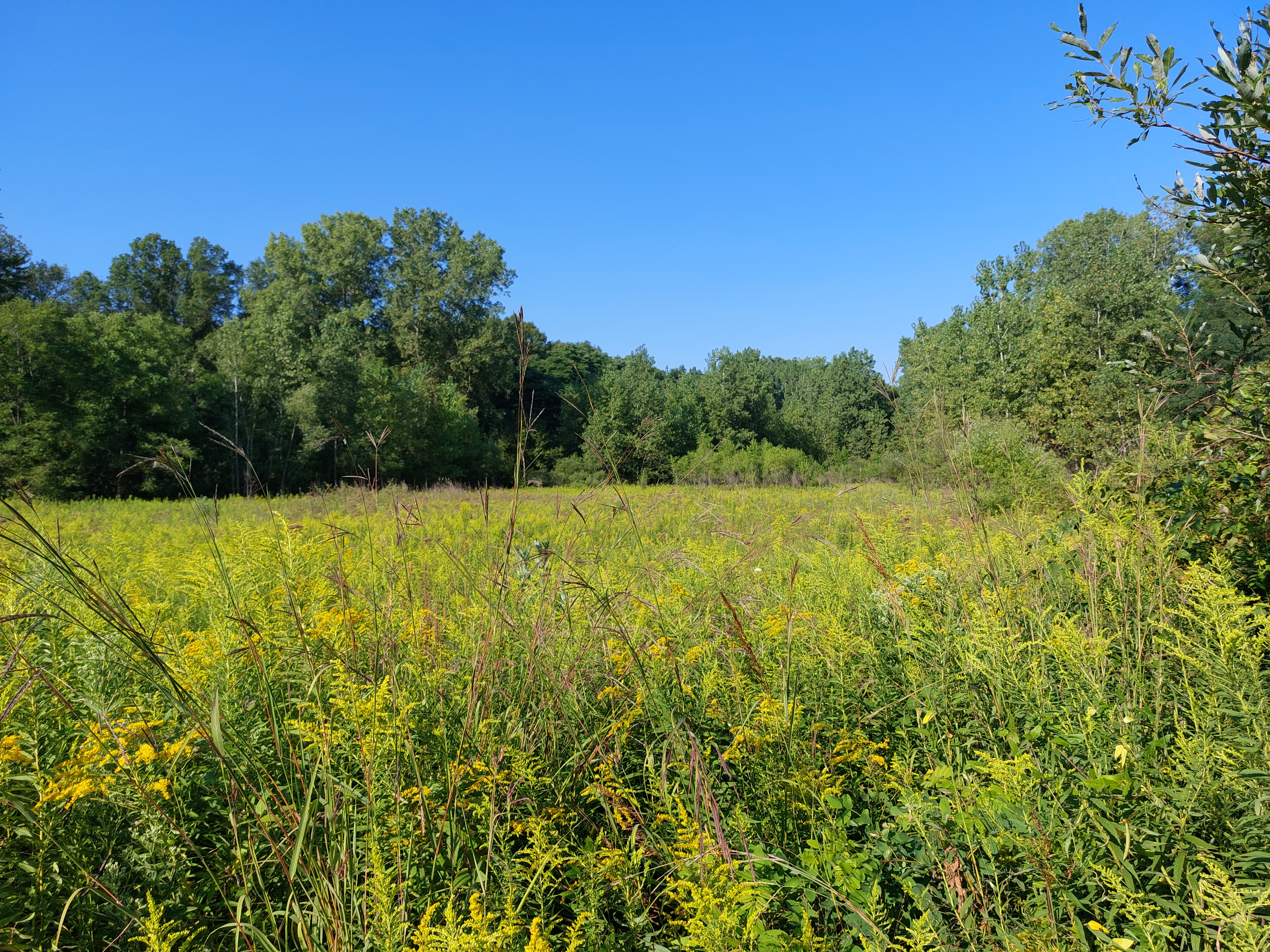 Photos | National Urban Park | Let's Talk Windsor