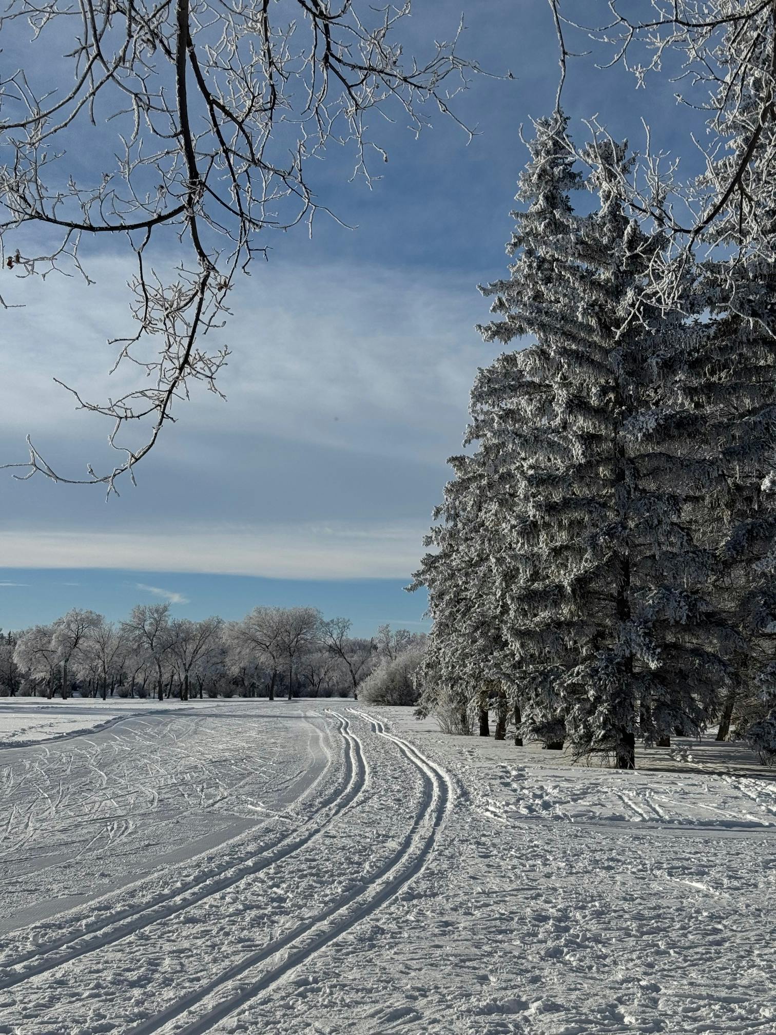 Kinsmen South winter trails.jpeg