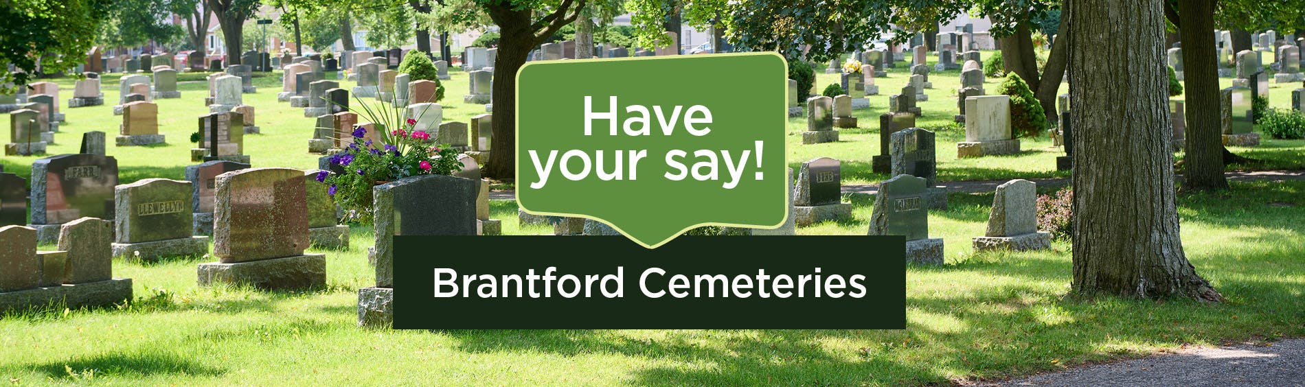Photo of a Brantford Cemetery. Text reads 'Have your say! Brantford Cemeteries
