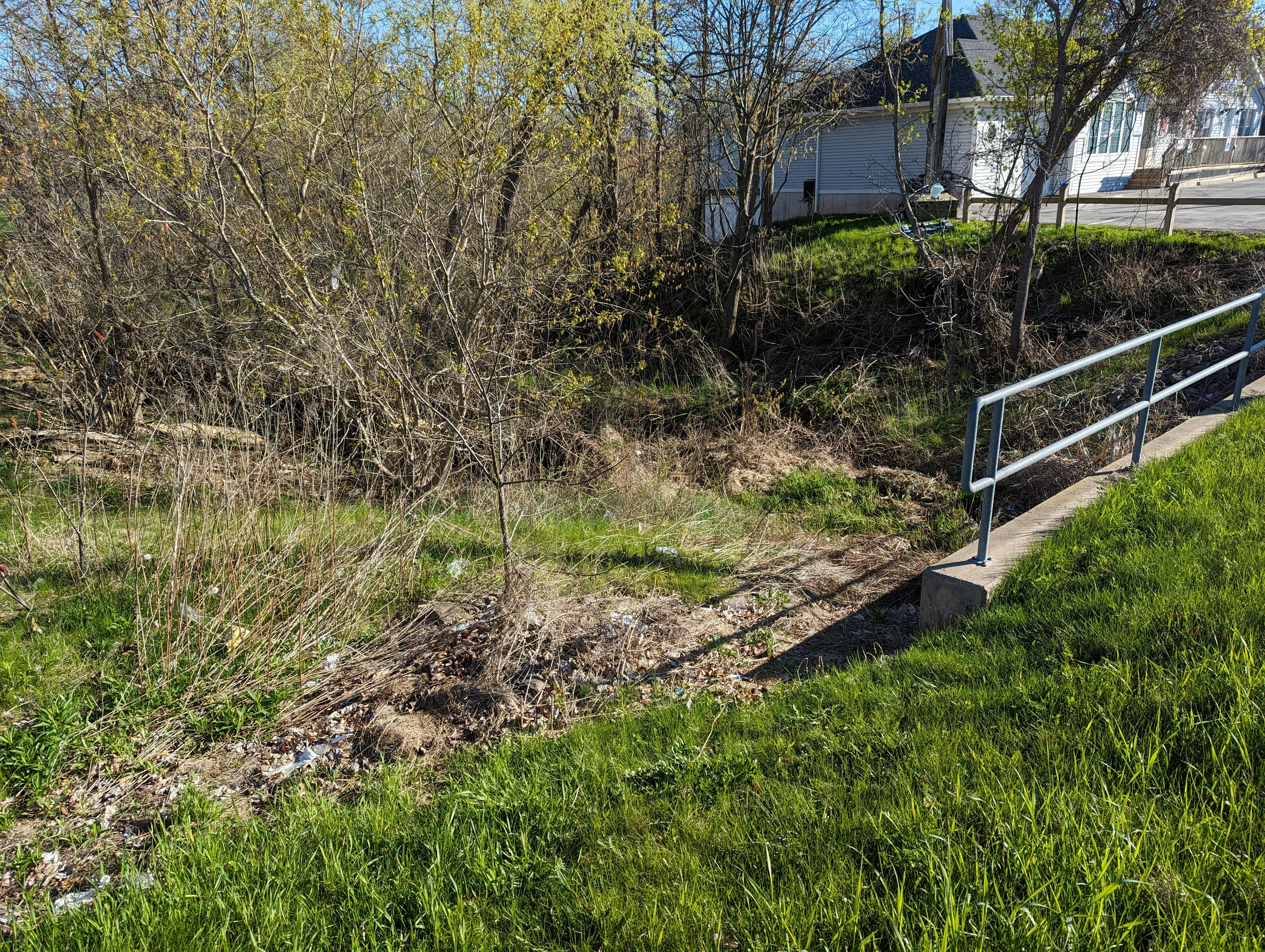 Erosion issues- 12 Mile Creek