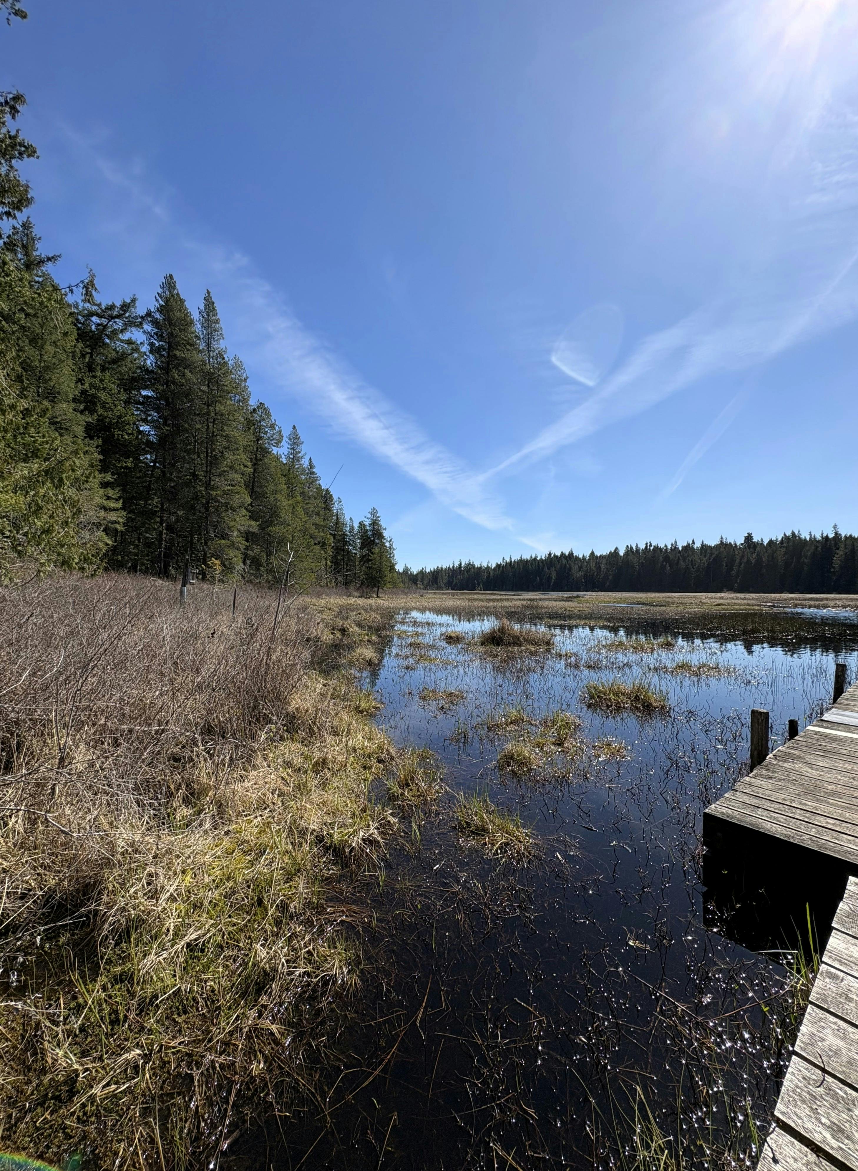 Hamilton Marsh Regional Park and Conservation Area
