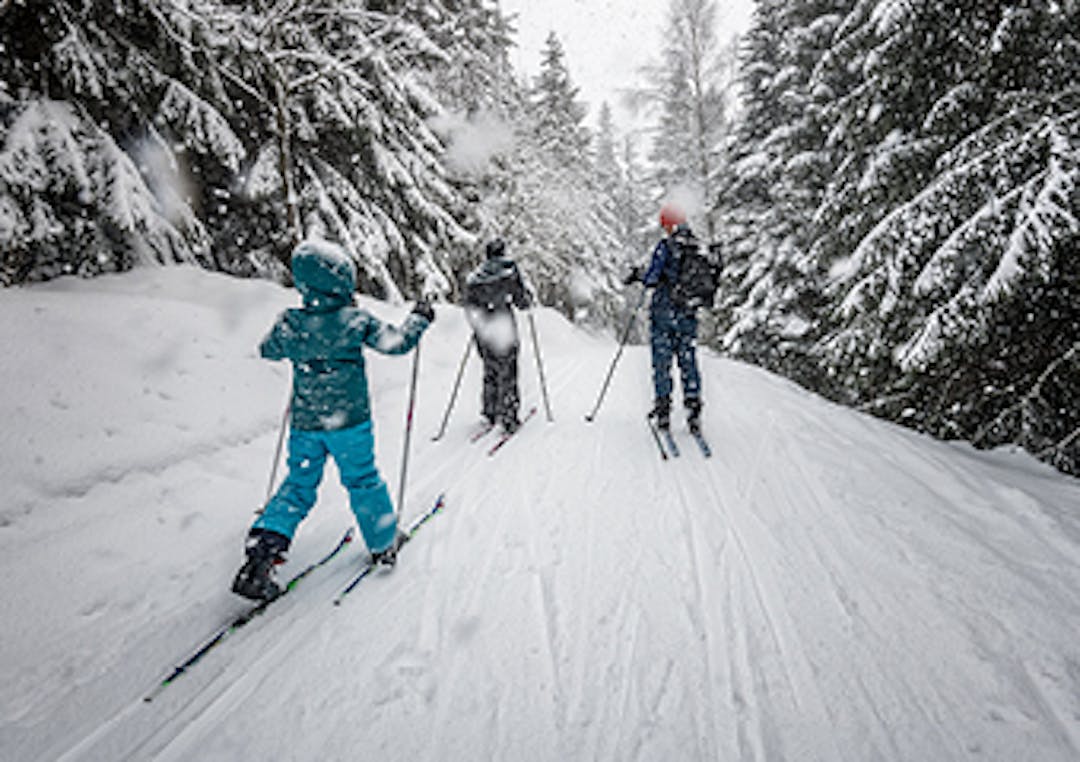 people skiing through a snowy path