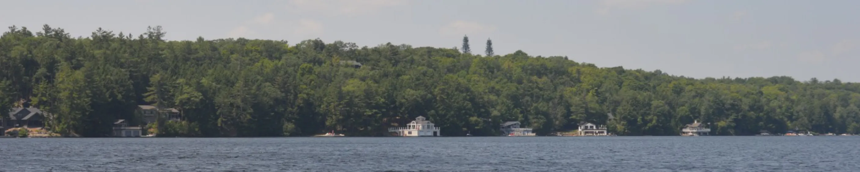 Lakefront properties with telecommunications towers in the background 