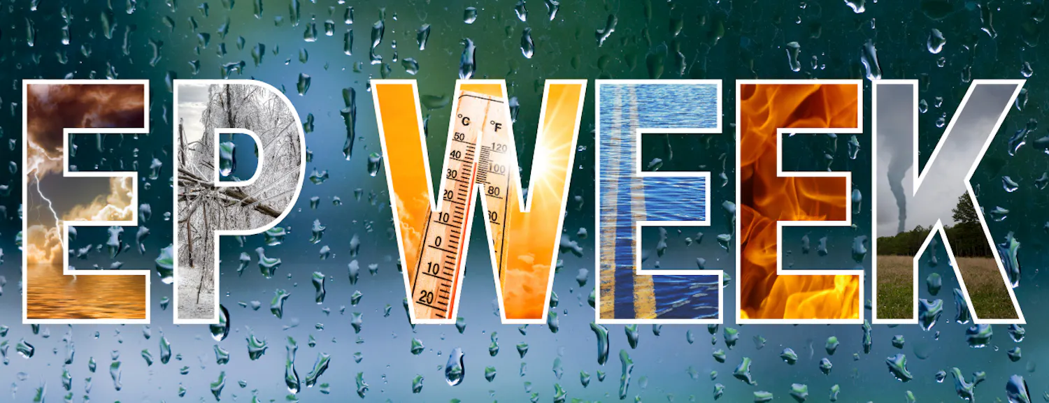 project banner