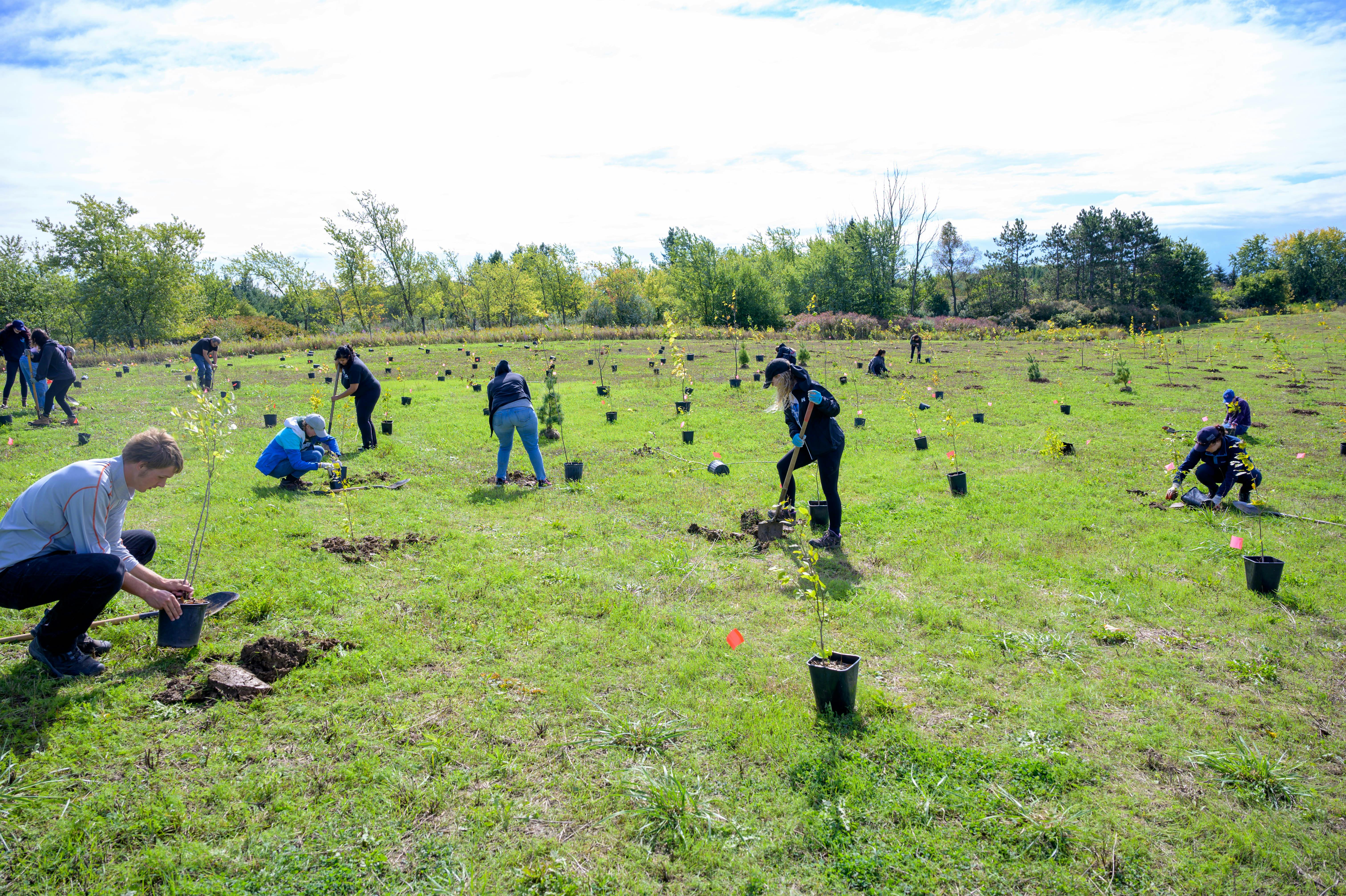 Community Planting at Binbrook Conservation Area