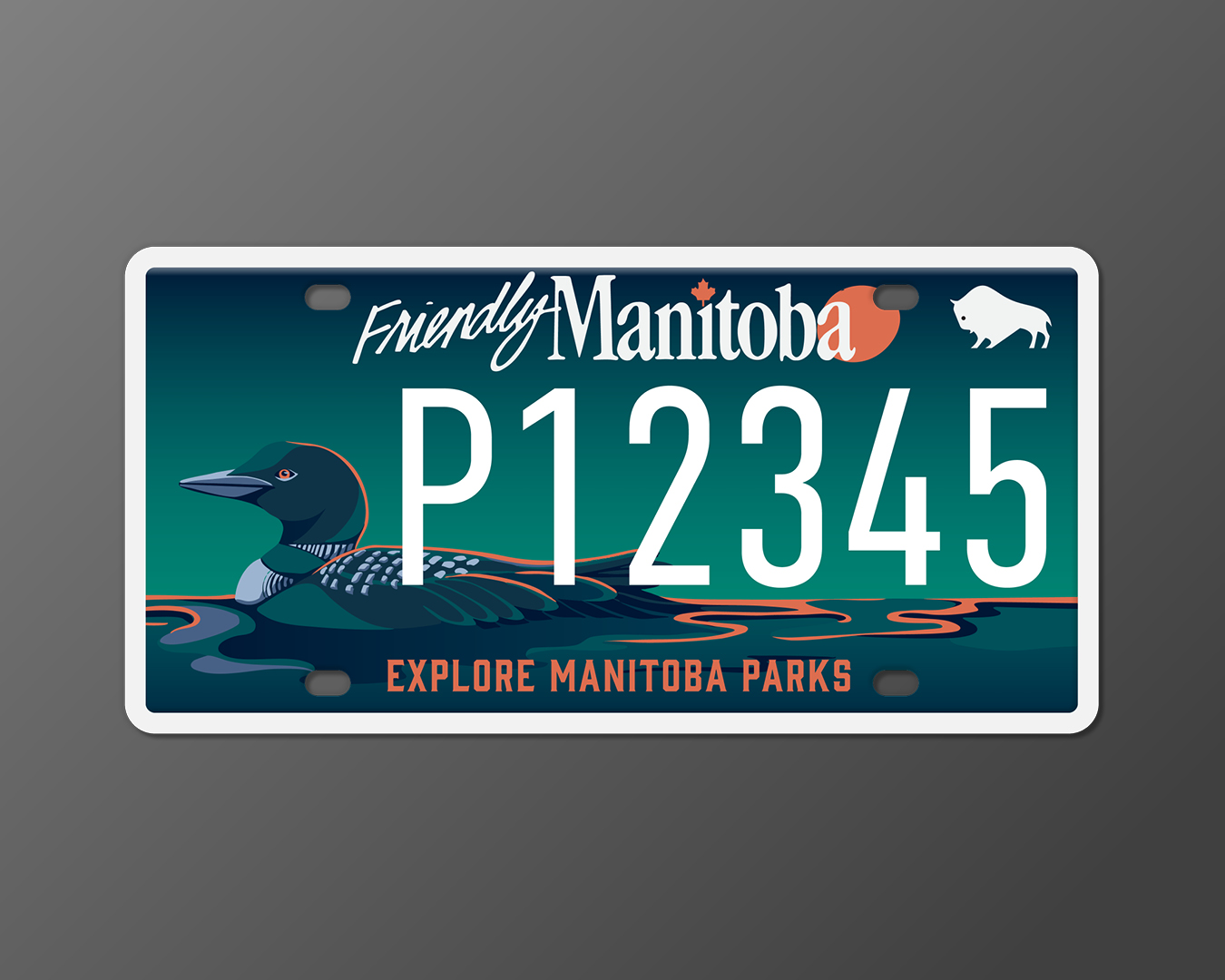 Option 4 : Huard turquoise sur un lac bleu et orange