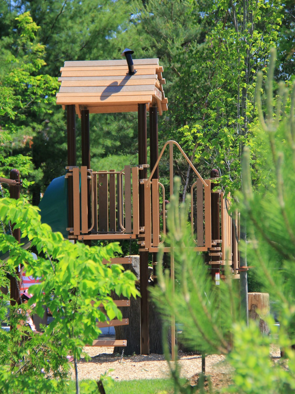 Image illustrating nature themed playground equipment design